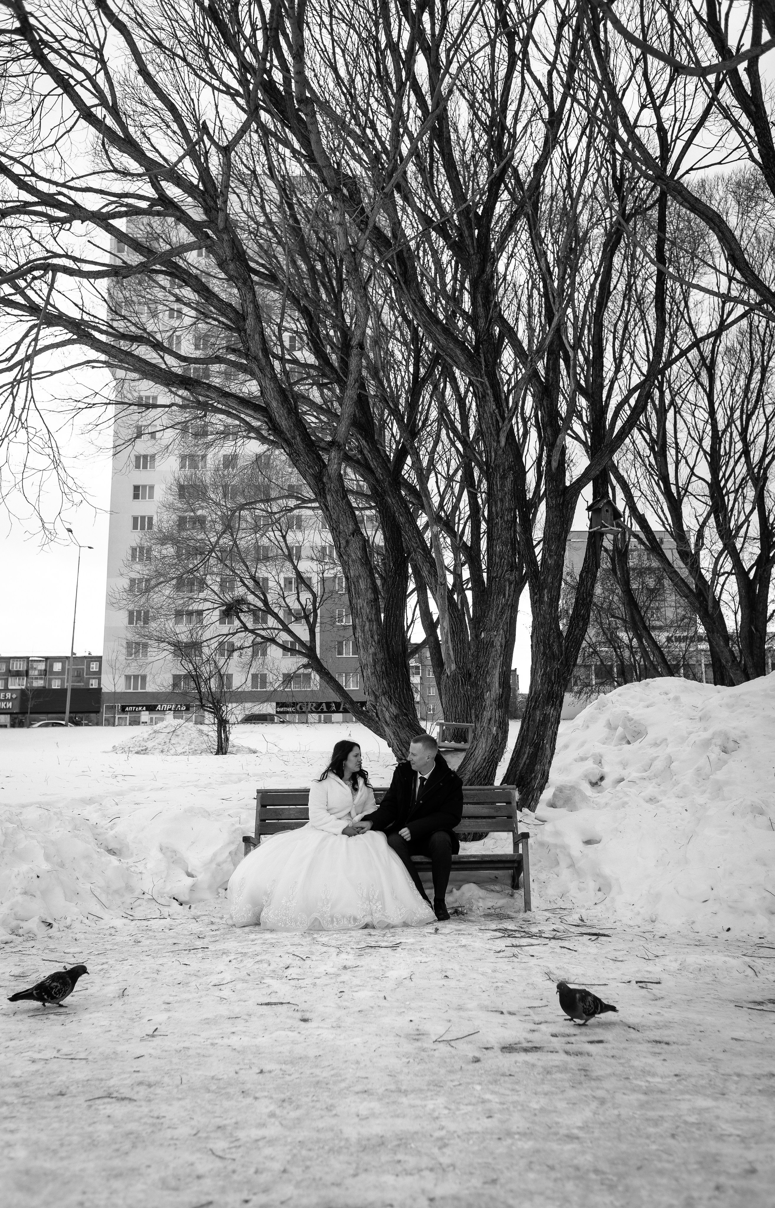 Артем и Наталья. Фотограф Татьяна Орлова