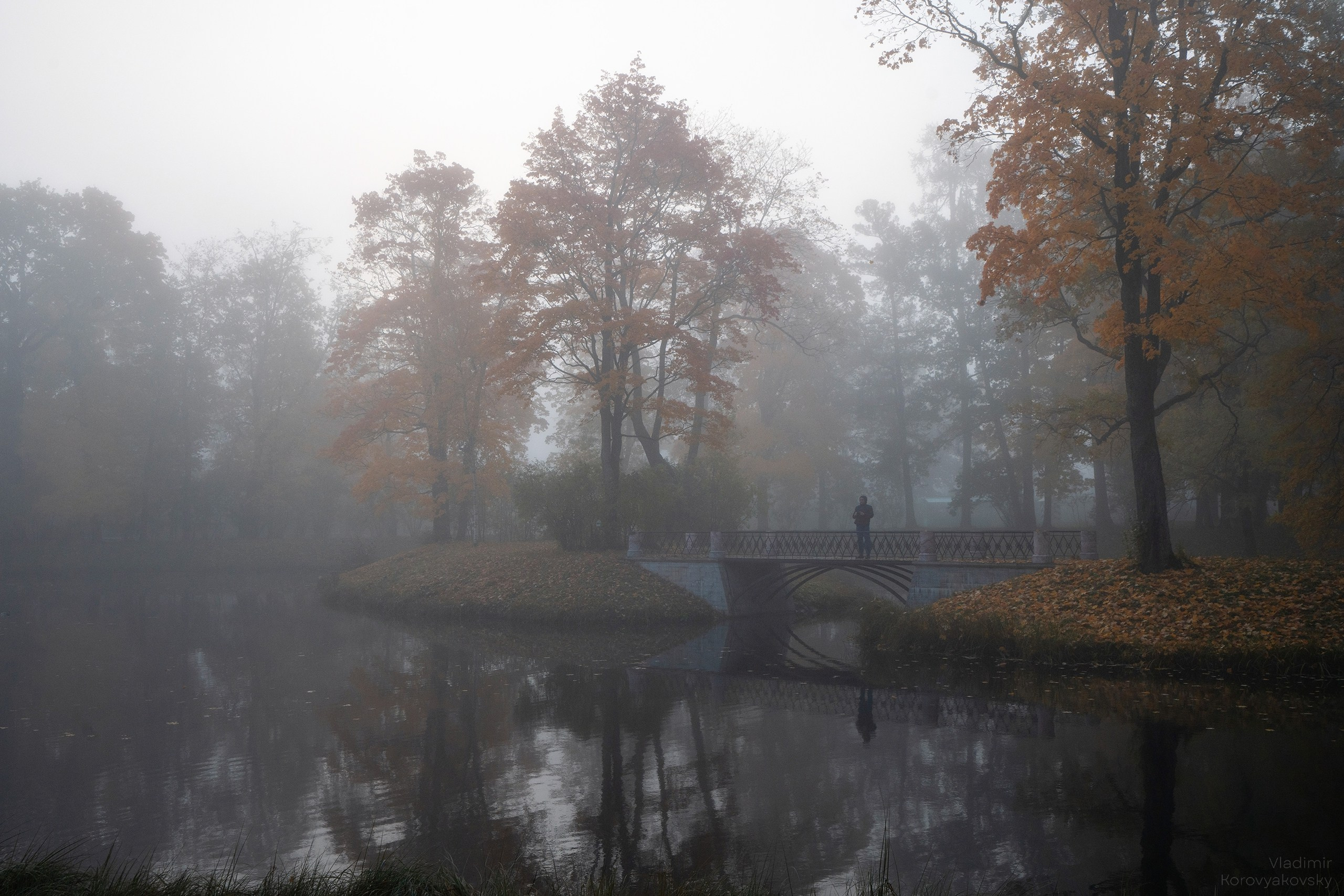 Природа. Фотограф Владимир Коровяковский