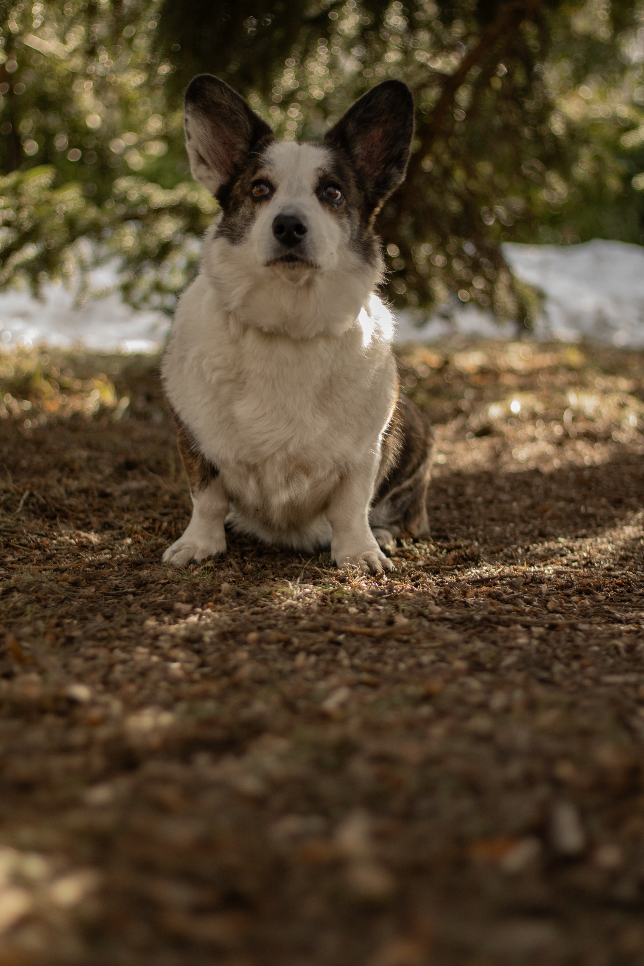 Юлия и Тэя. Катя Попова|ЛайфСтайл фотограф