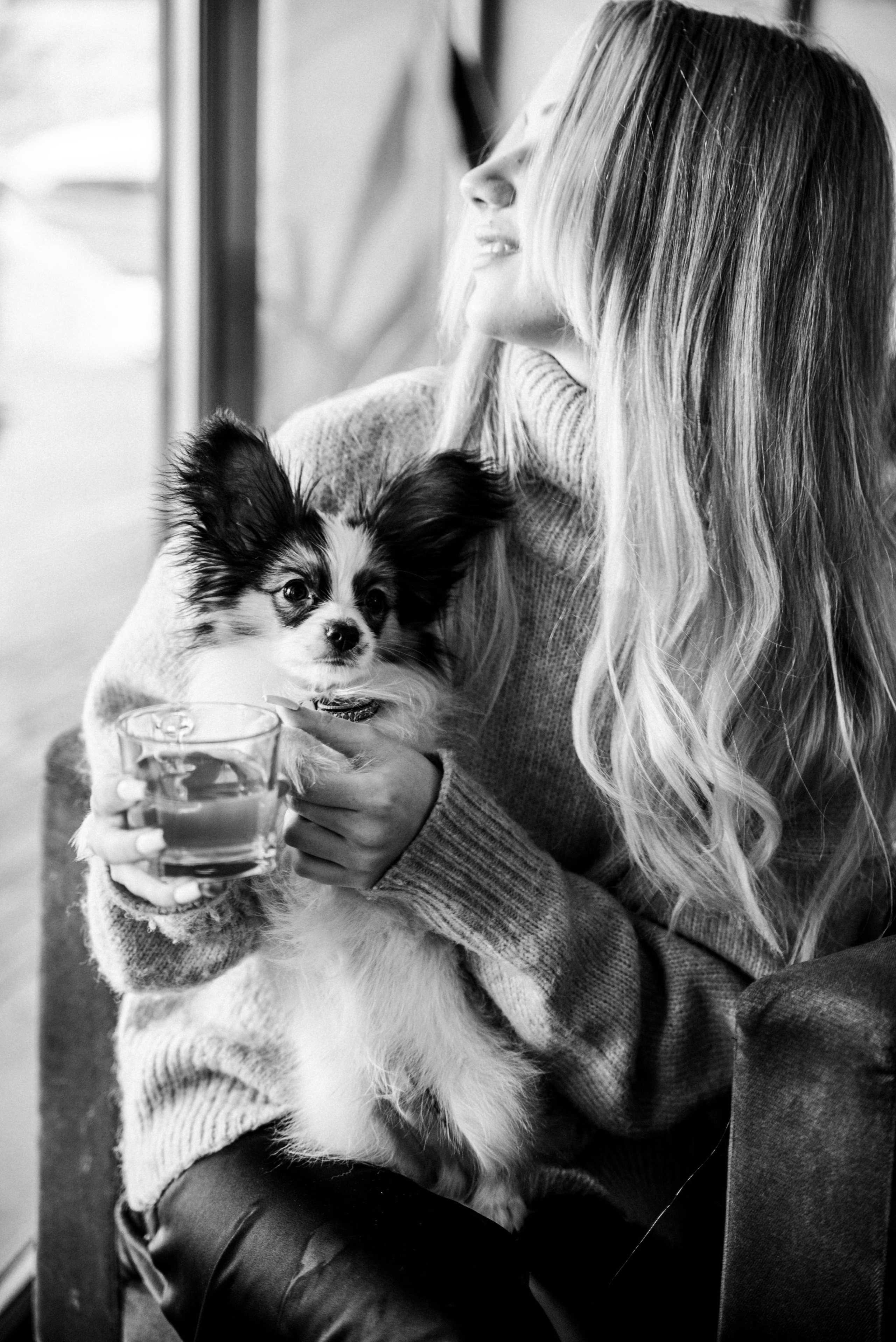 Настя, Света и Папийон Луней. Главная