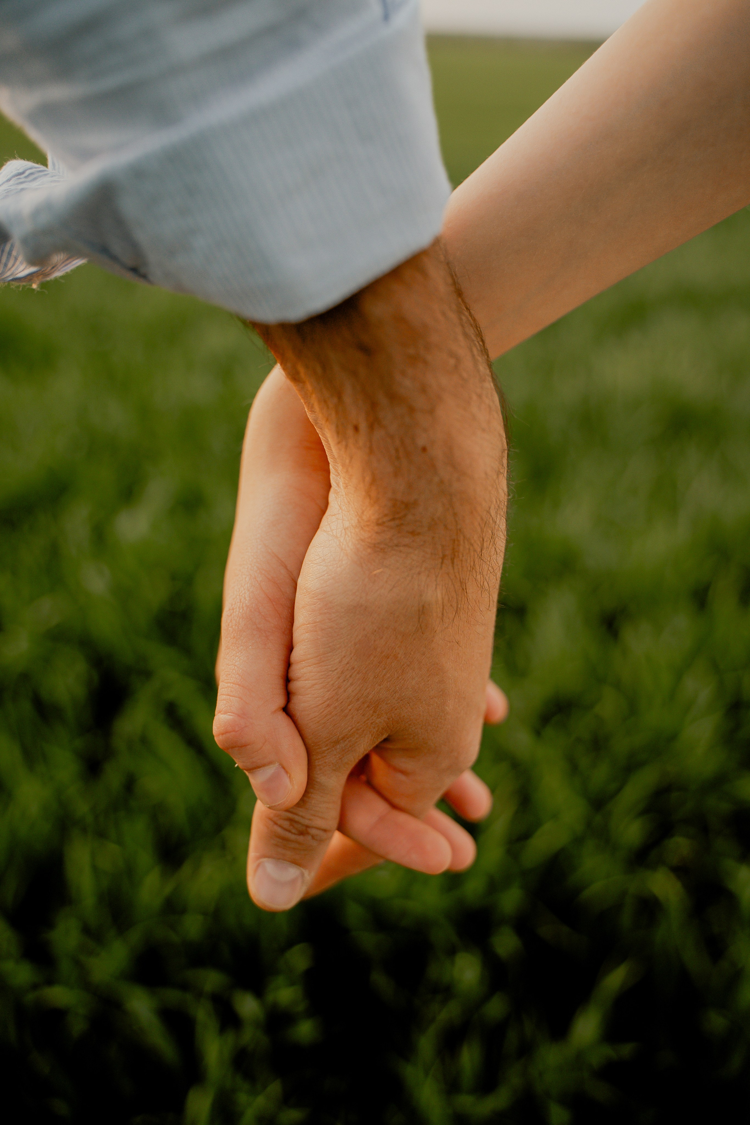 Поле. Фотограф Мария Зайчик