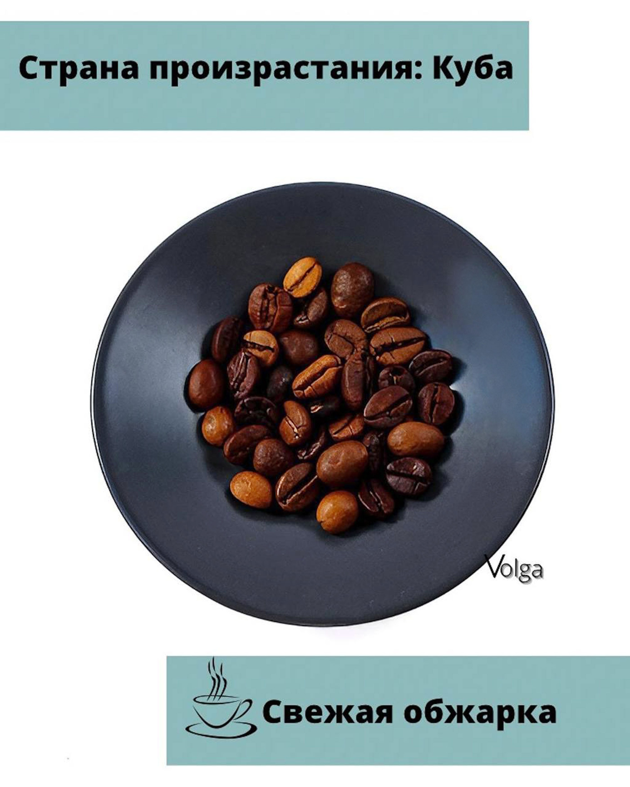 Инфографика. Anushikcreates