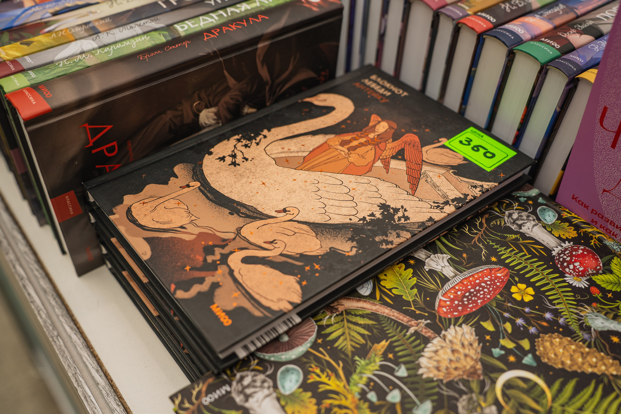 МИФ Non/fictio№ 2025 стенды. Репортажный фотограф Анастасия Рубцова