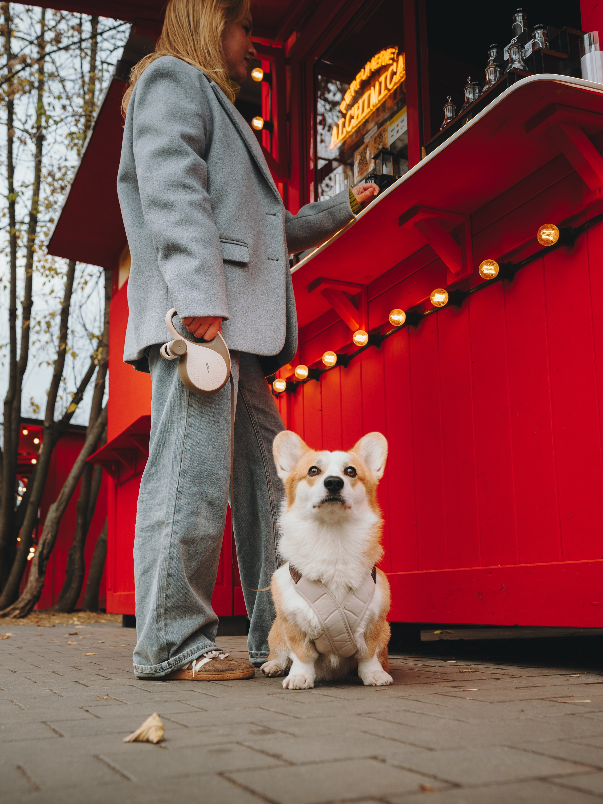 Pawsitive. Семейный фотограф анималист Ананьева Мария — Москва