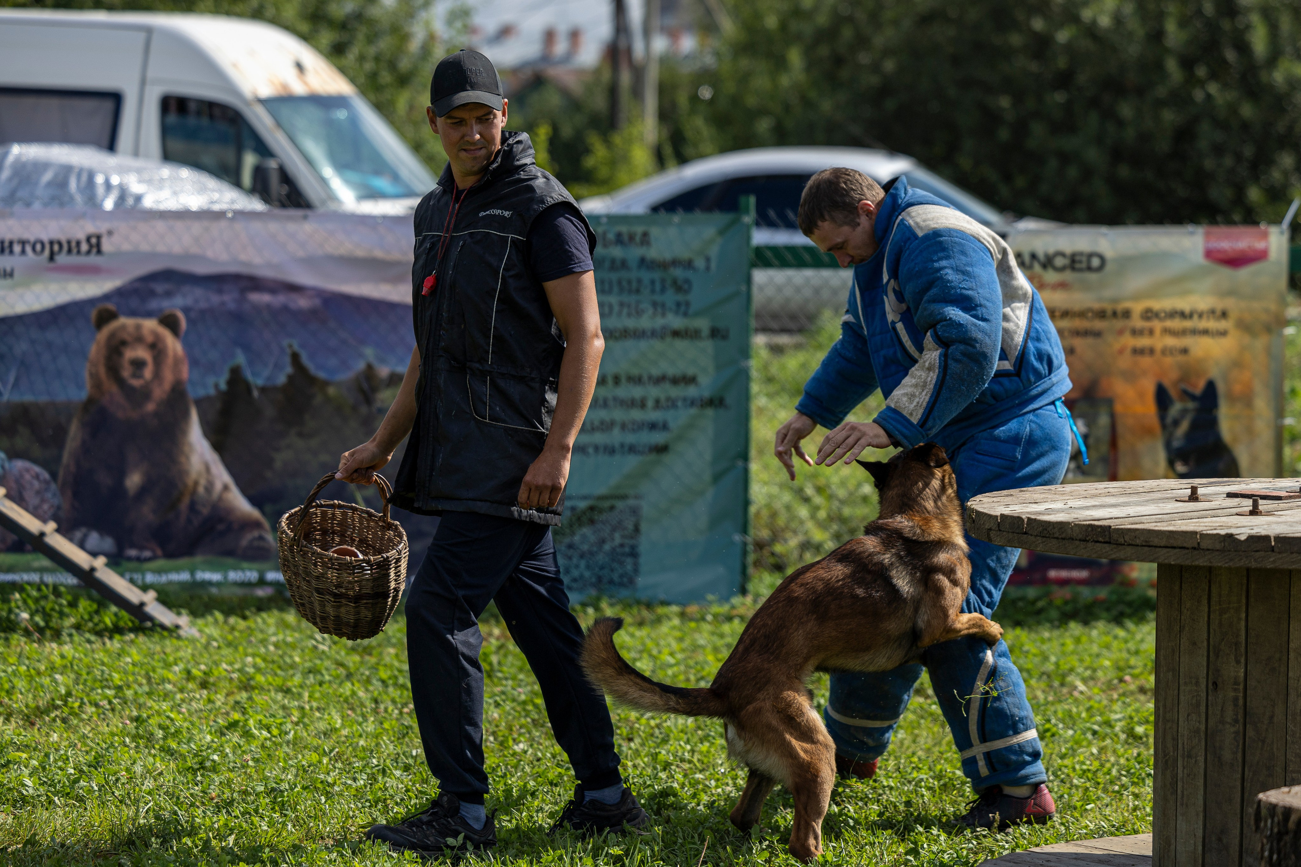 Соревнования по Мондьорингу г. Вологда 10-11.08.2024. Фотограф-анималист Анна Маринич