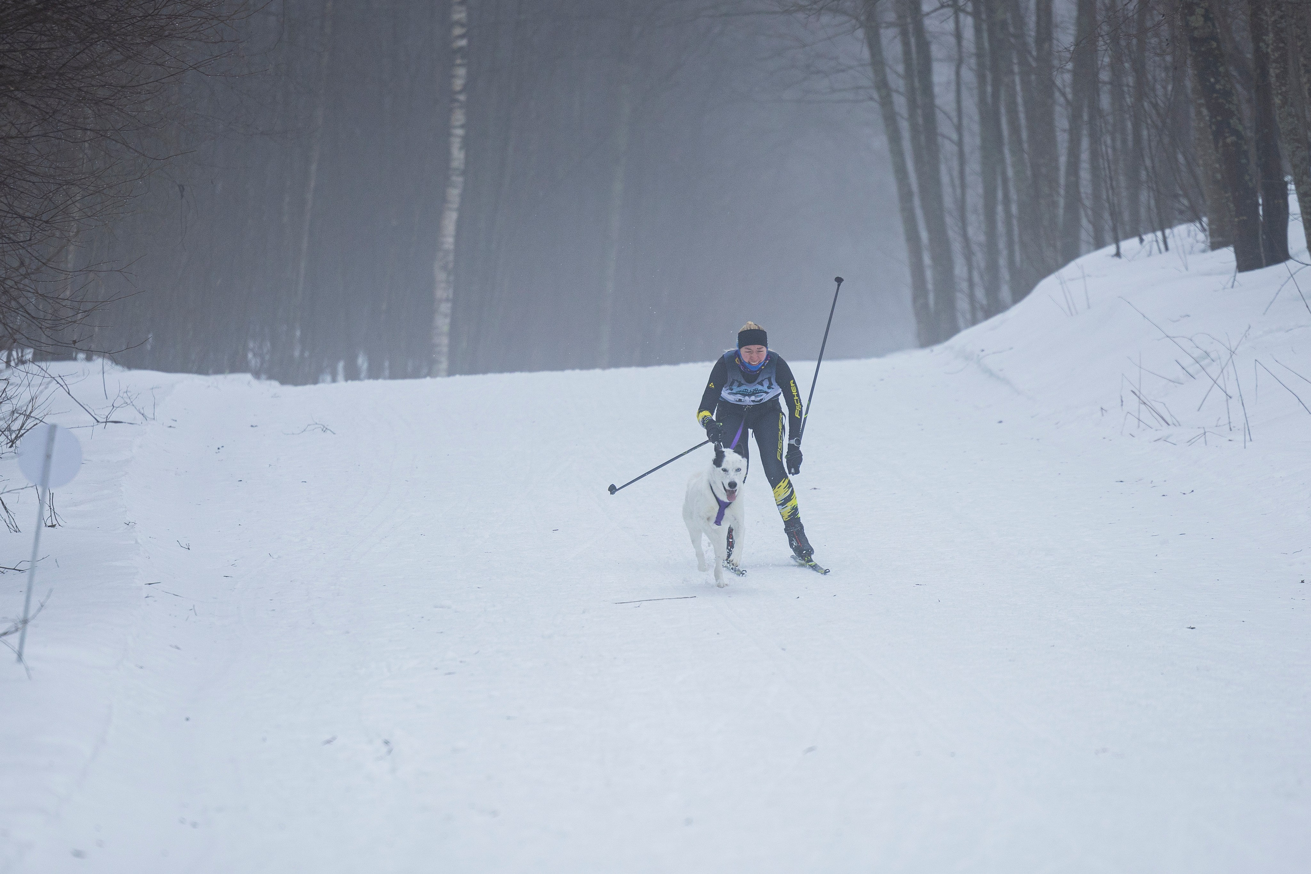 Зимний Чемпионат Санкт-Петербурга по ездовому спорту. Фотограф-анималист Анна Маринич
