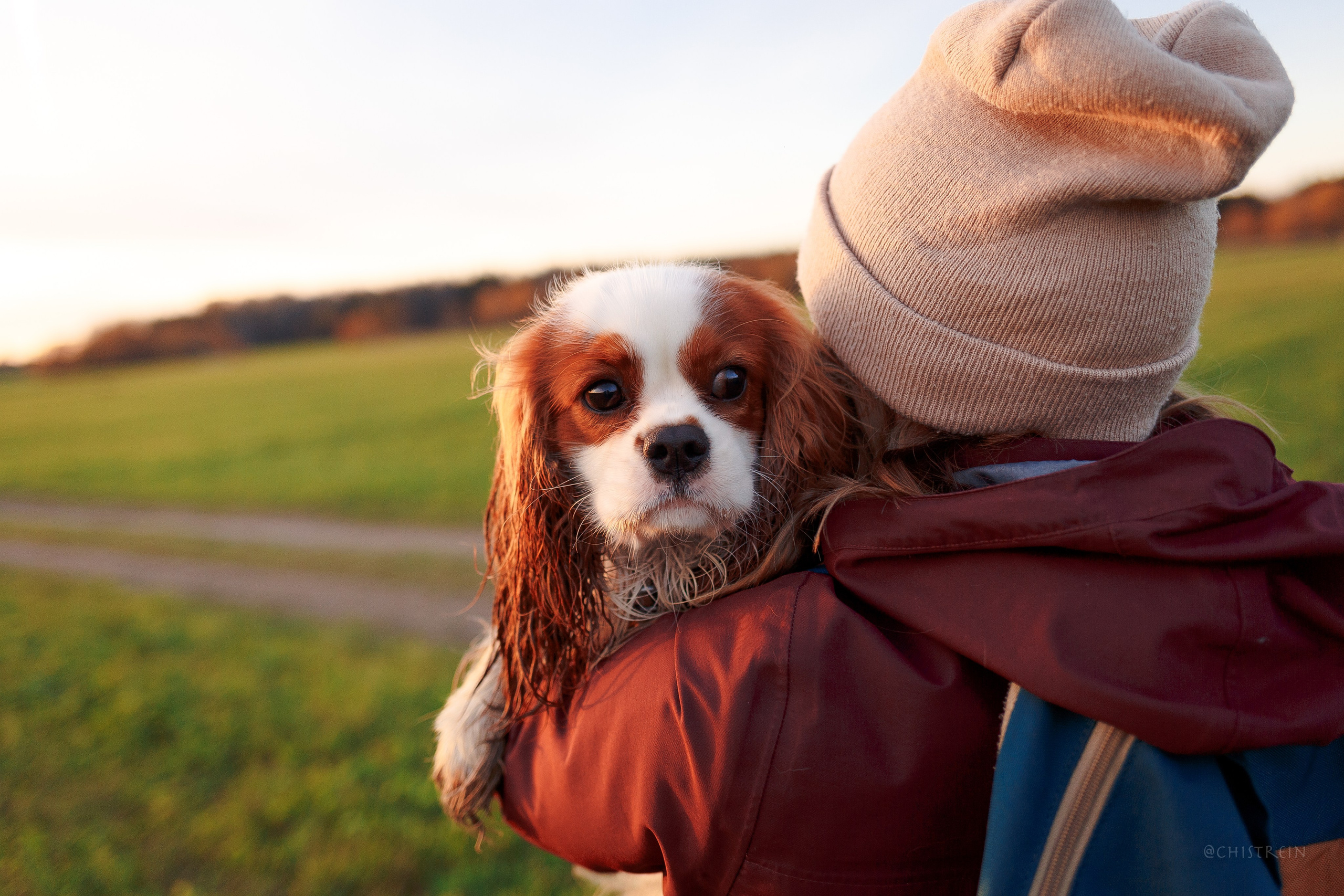 Октябрьский закат в полях. Алина и Лео. Фотограф-анималист Наталия Чистюхина в г. Сосновый Бор и ЛО