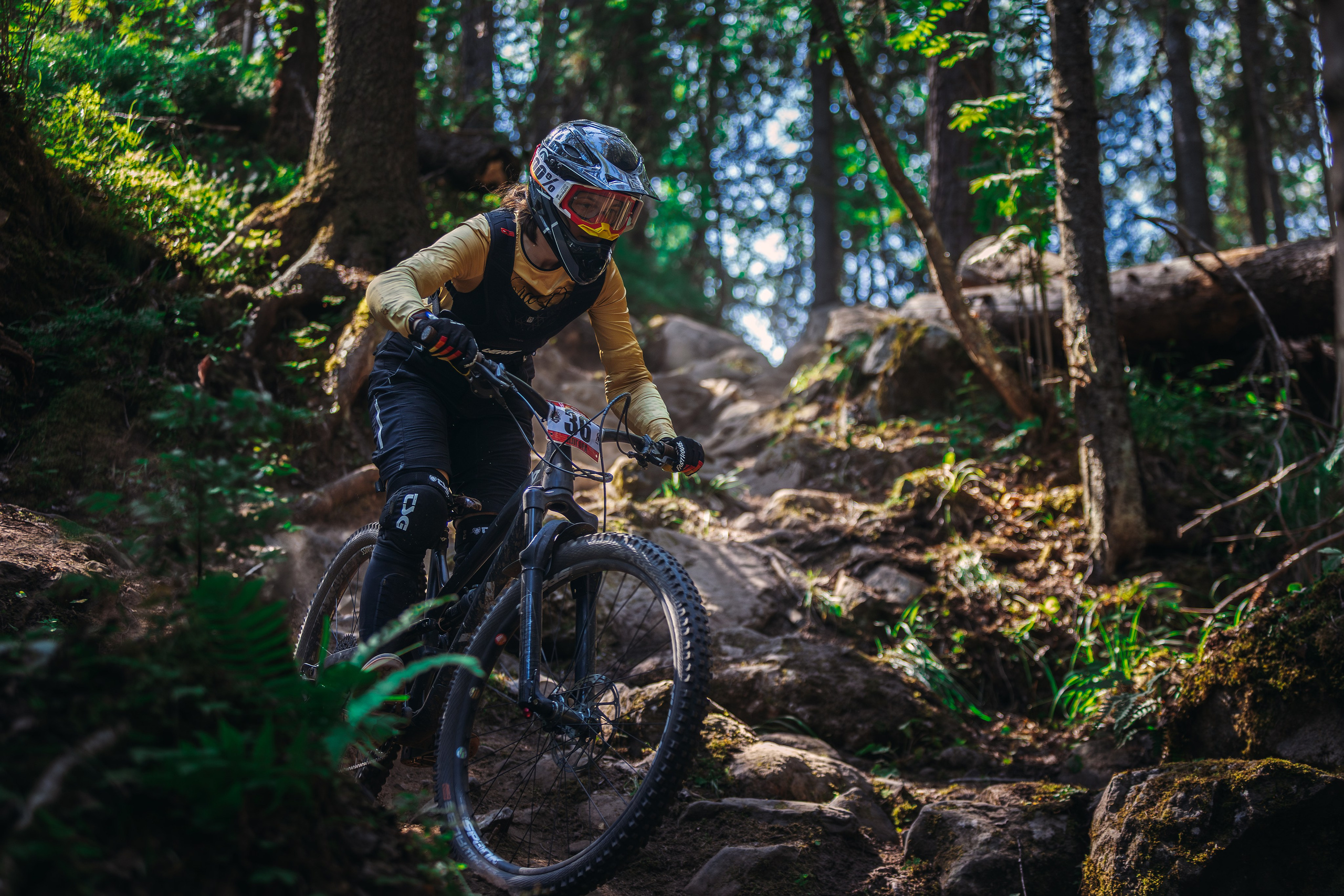 Гонка Ялгора. Фотограф анималист Никита Натальный