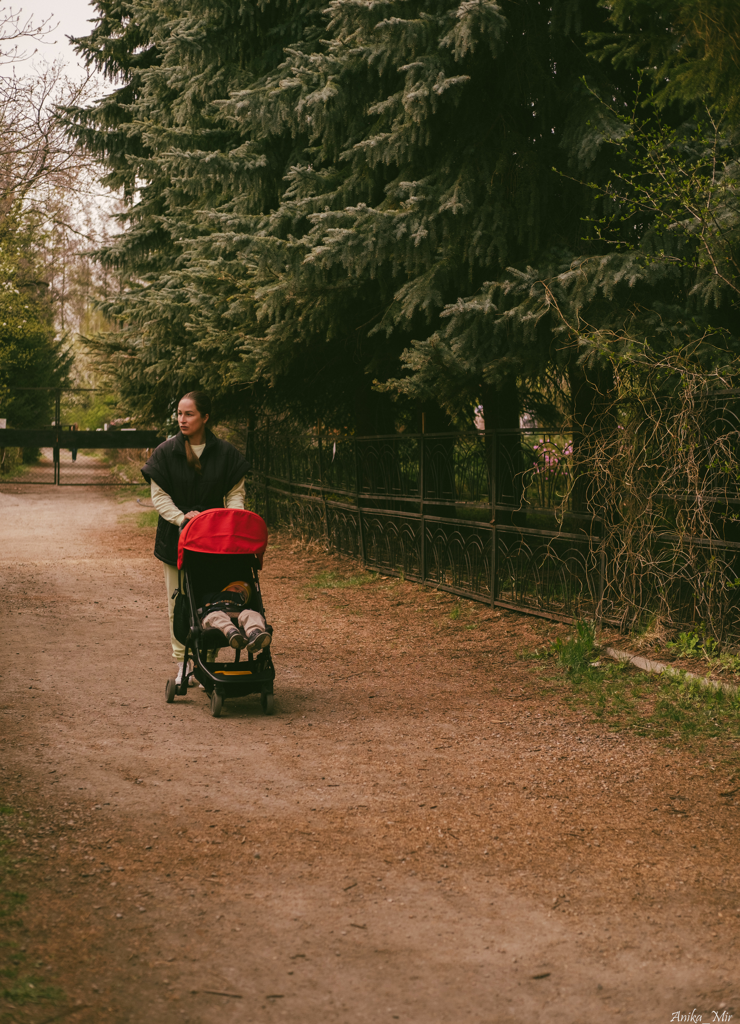 Праздник цветения сакуры. Фотограф в Иркутске Анна Мирошникова