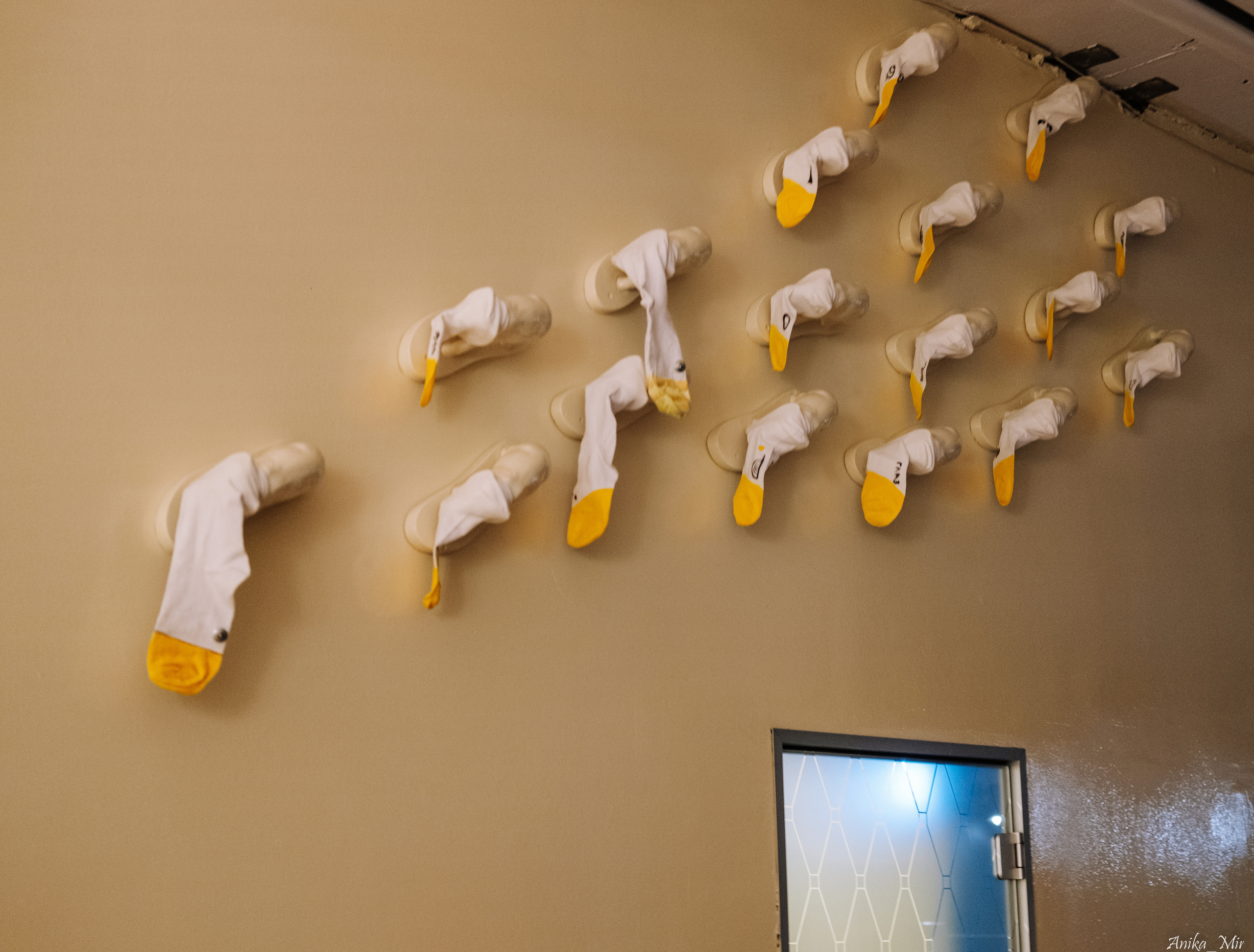 Выставка Sensivity. Фотограф в Иркутске Анна Мирошникова