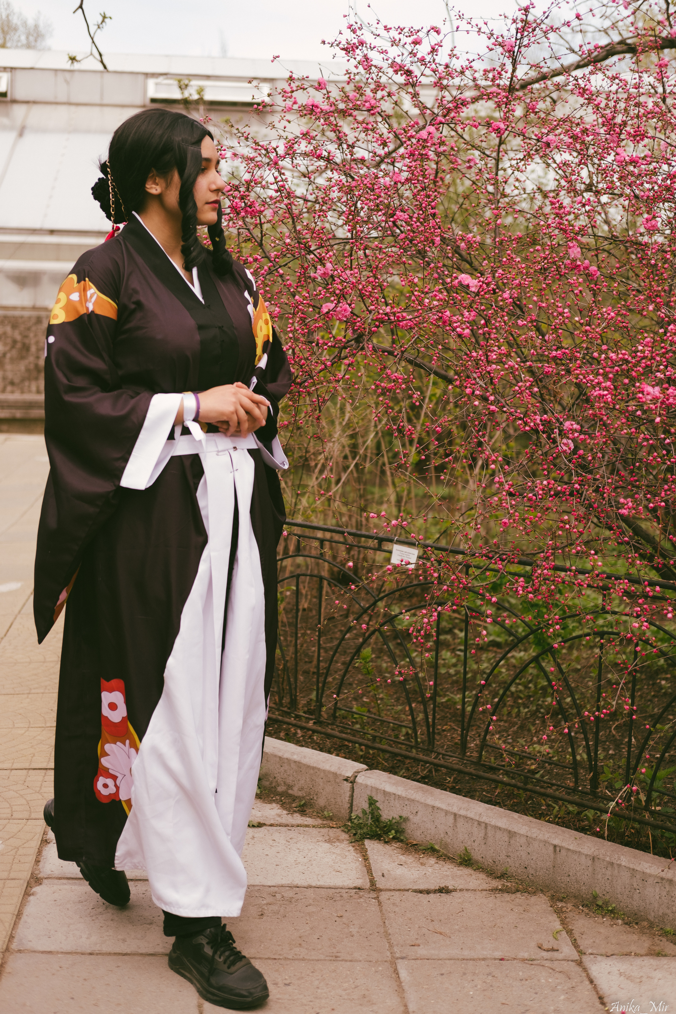 Праздник цветения сакуры. Фотограф в Иркутске Анна Мирошникова