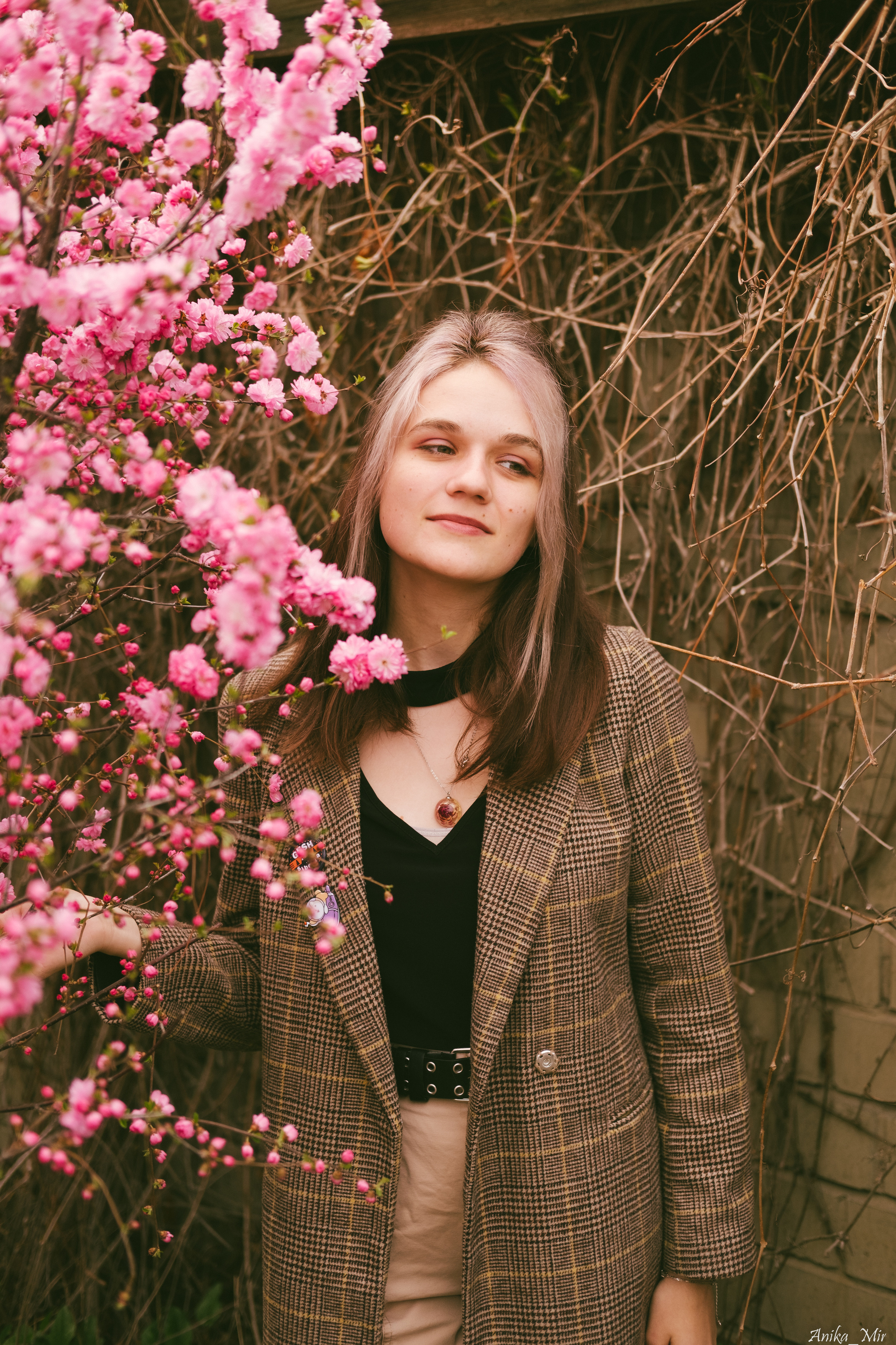 Праздник цветения сакуры. Фотограф в Иркутске Анна Мирошникова