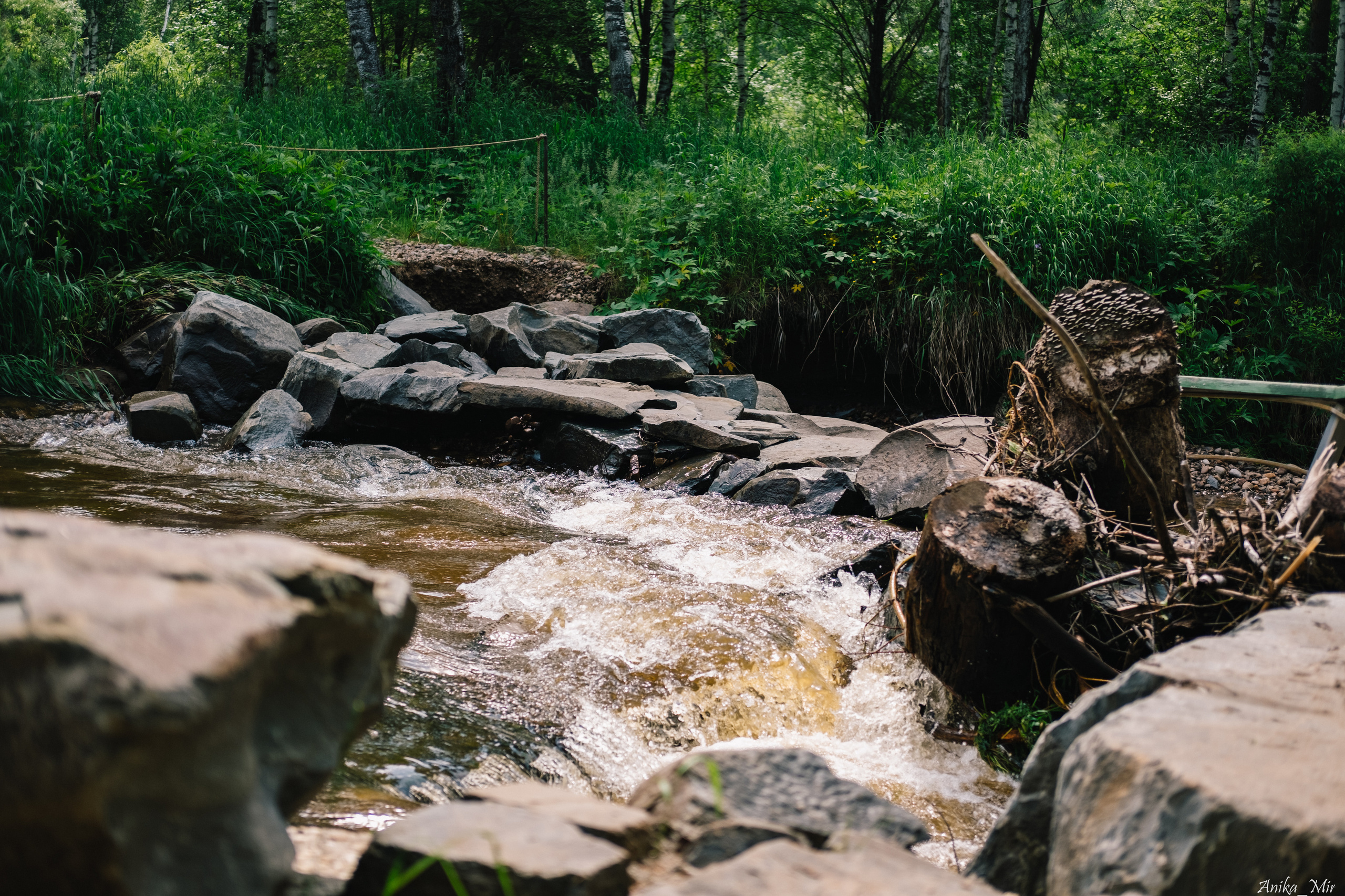 Купала 2023. Фотограф в Иркутске Анна Мирошникова