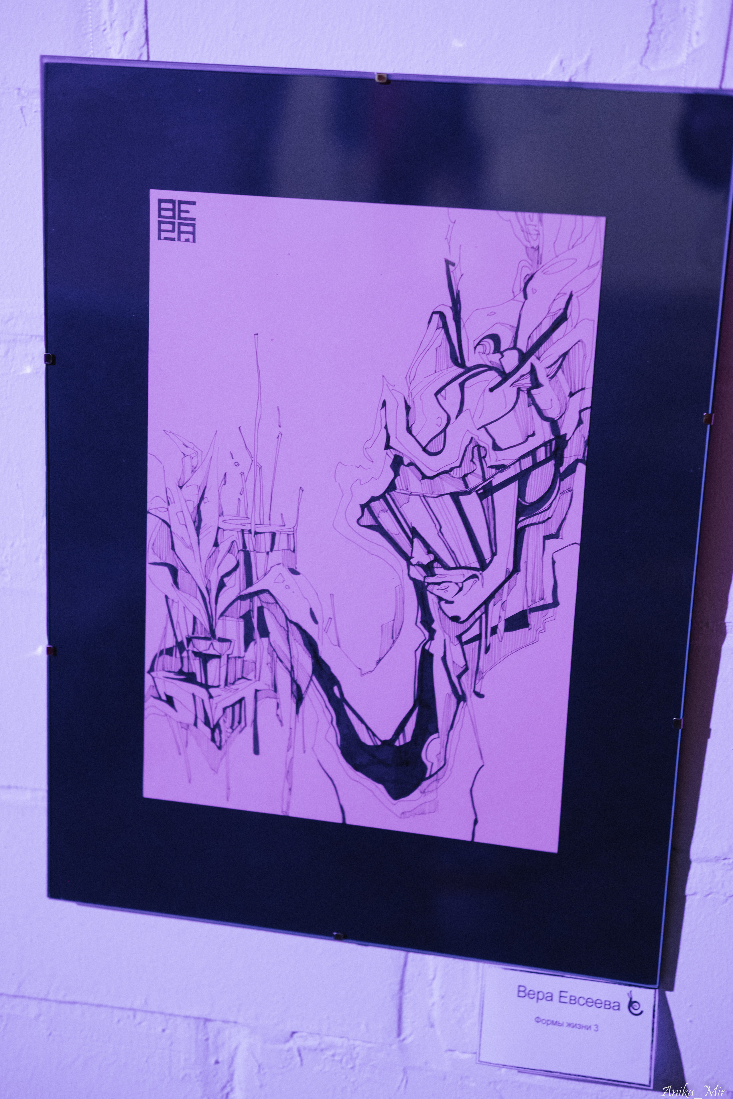 Выставка Sensivity. Фотограф в Иркутске Анна Мирошникова