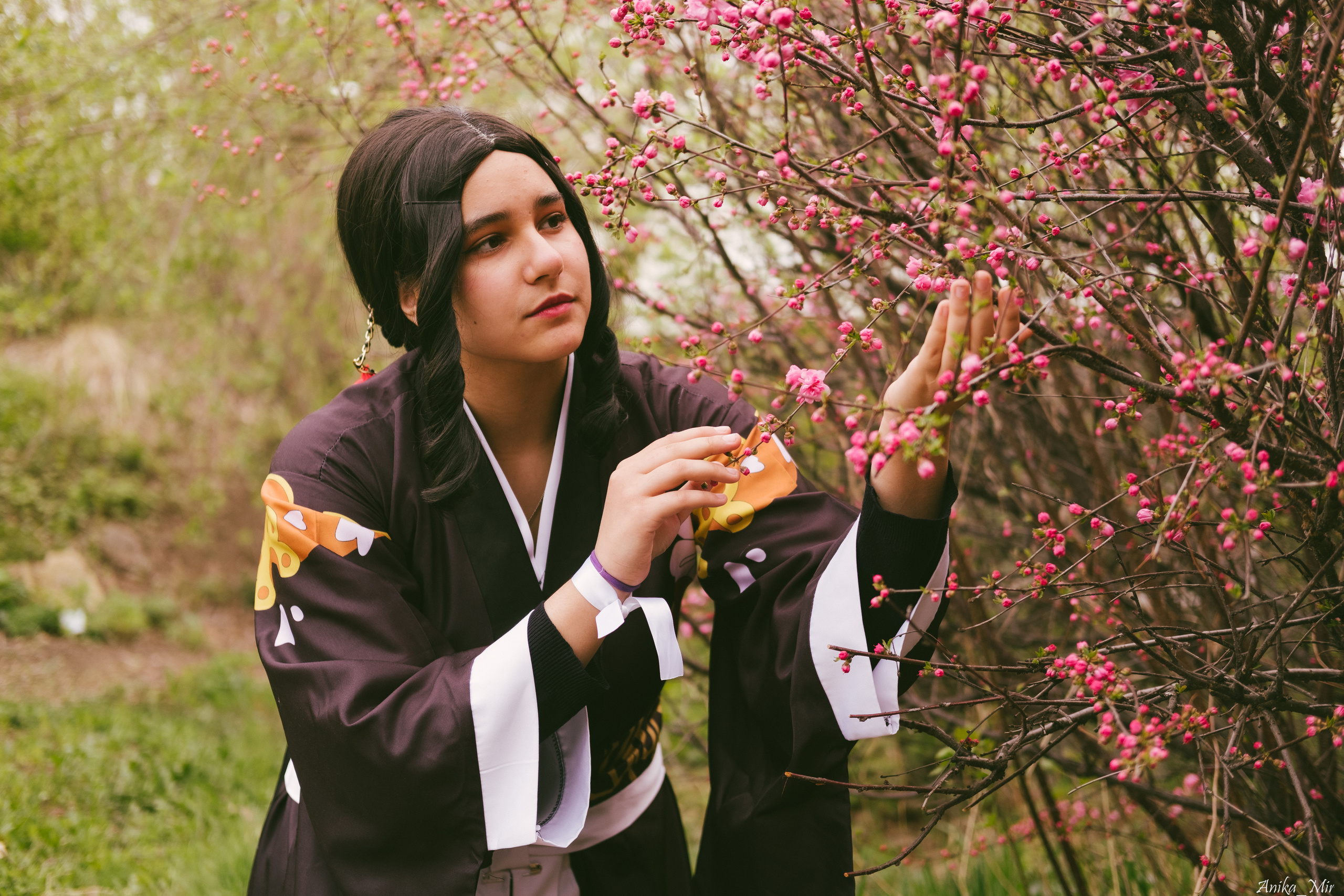 Праздник цветения сакуры. Фотограф в Иркутске Анна Мирошникова