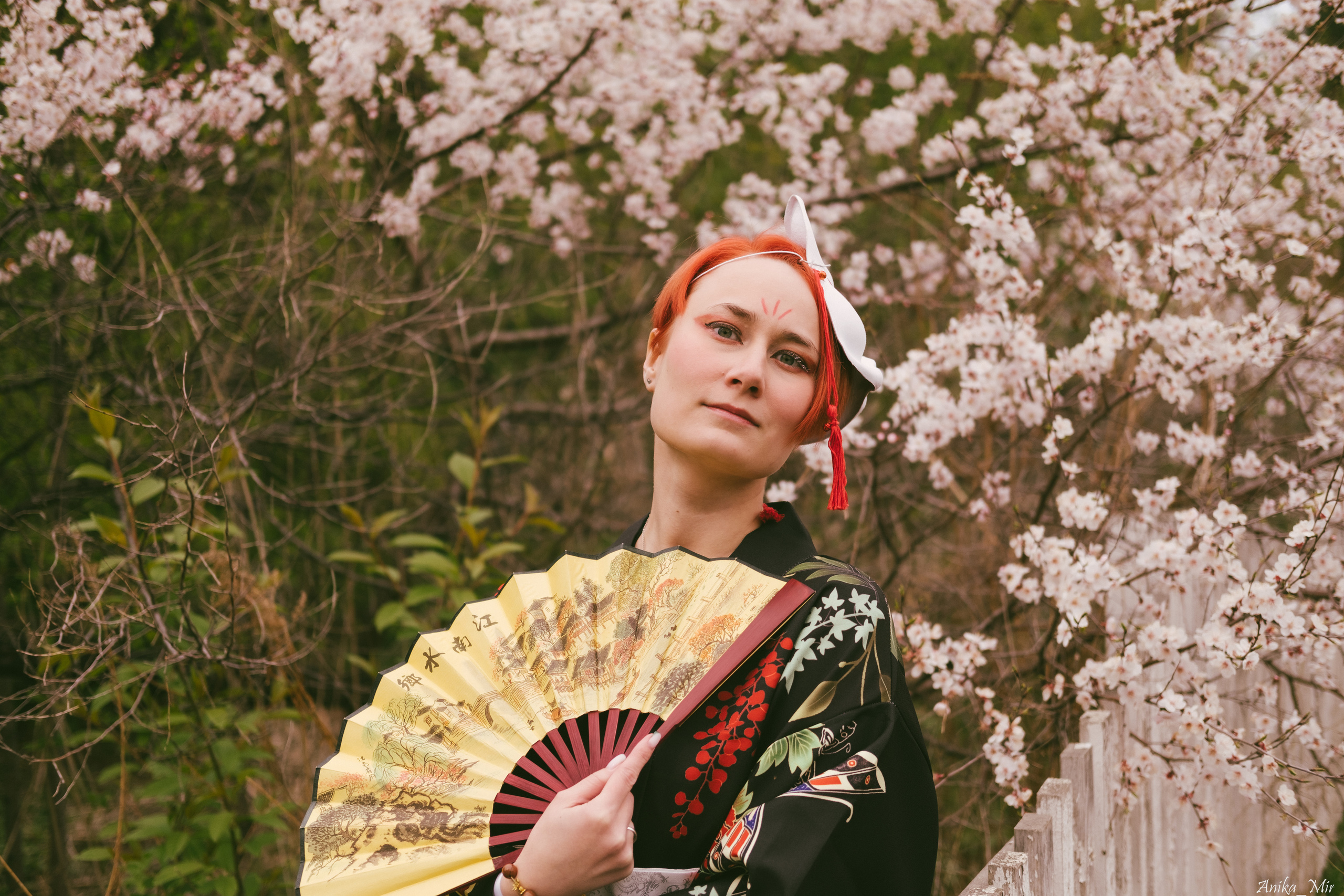 Праздник цветения сакуры. Фотограф в Иркутске Анна Мирошникова