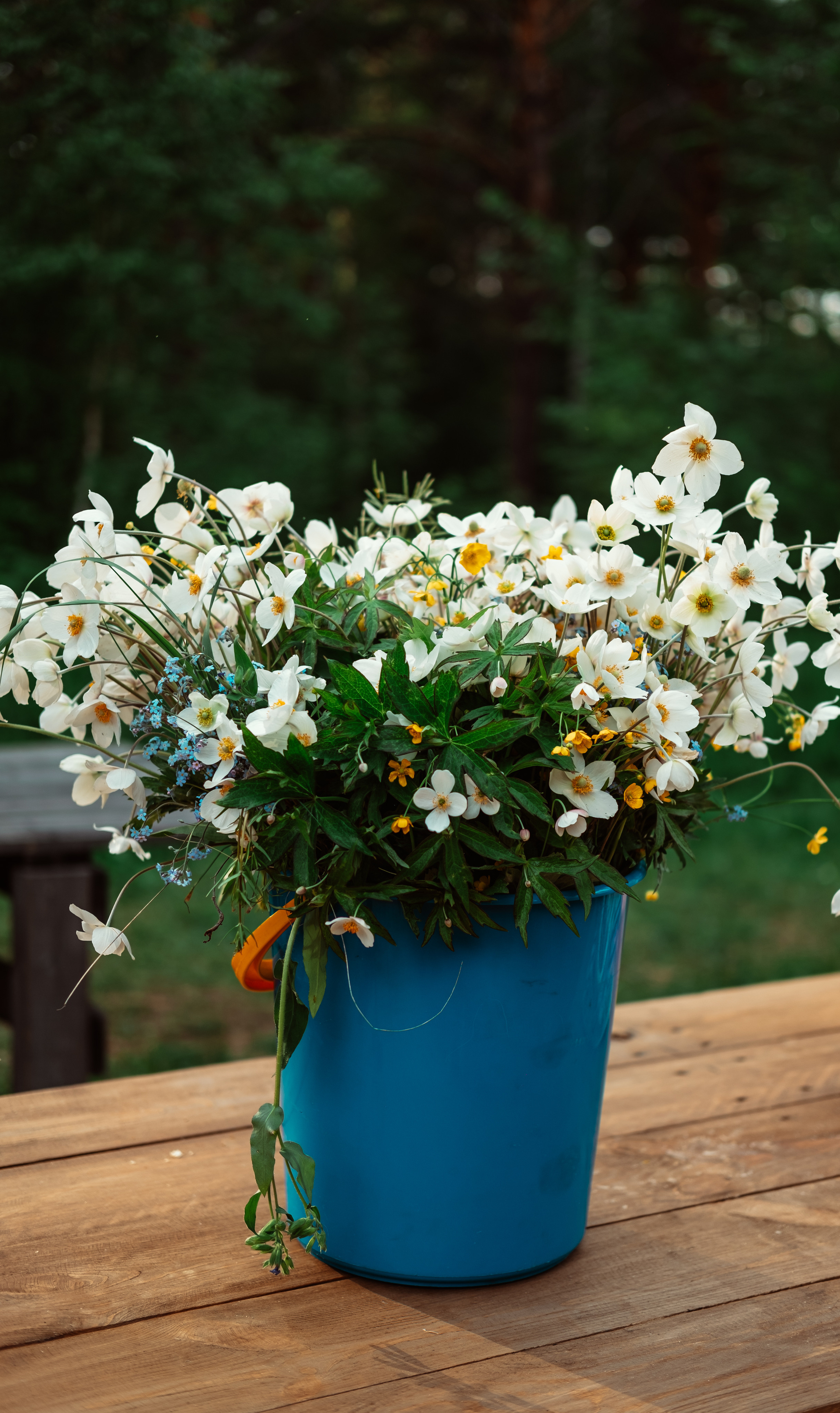 Праздник Купалье. Фотограф в Иркутске Анна Мирошникова