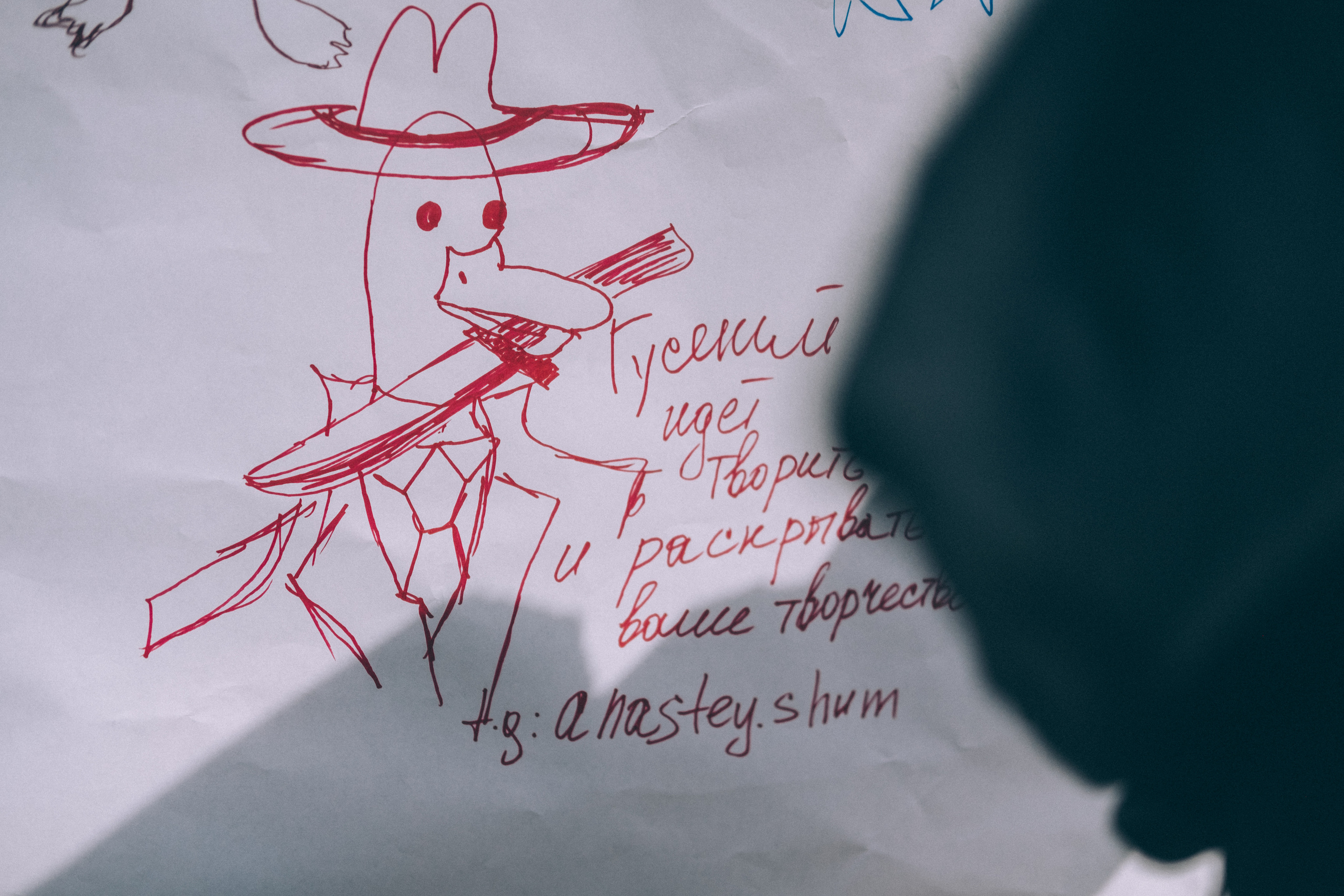 Отпусти Гуся. Фотограф в Иркутске Анна Мирошникова