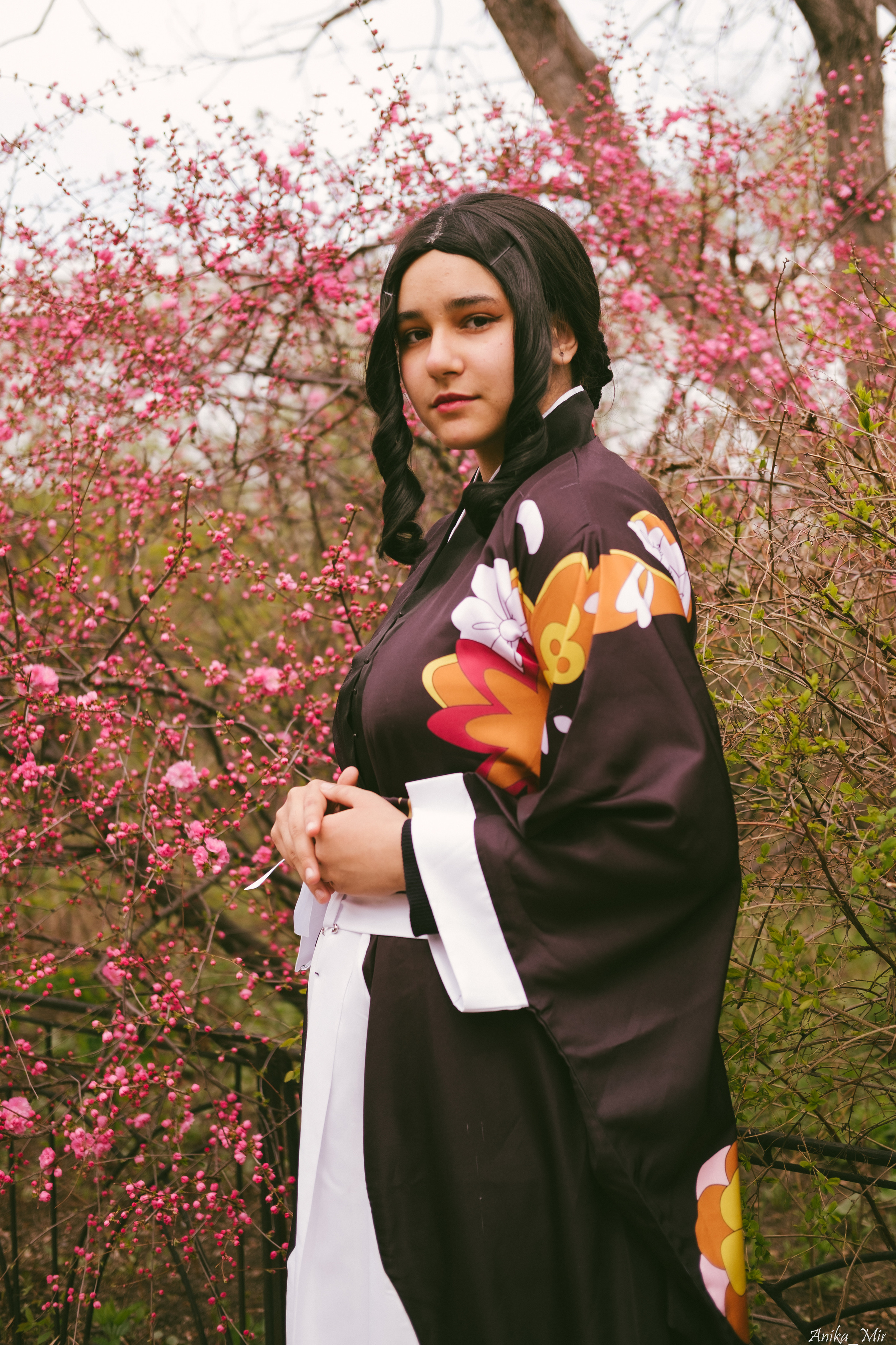 Праздник цветения сакуры. Фотограф в Иркутске Анна Мирошникова