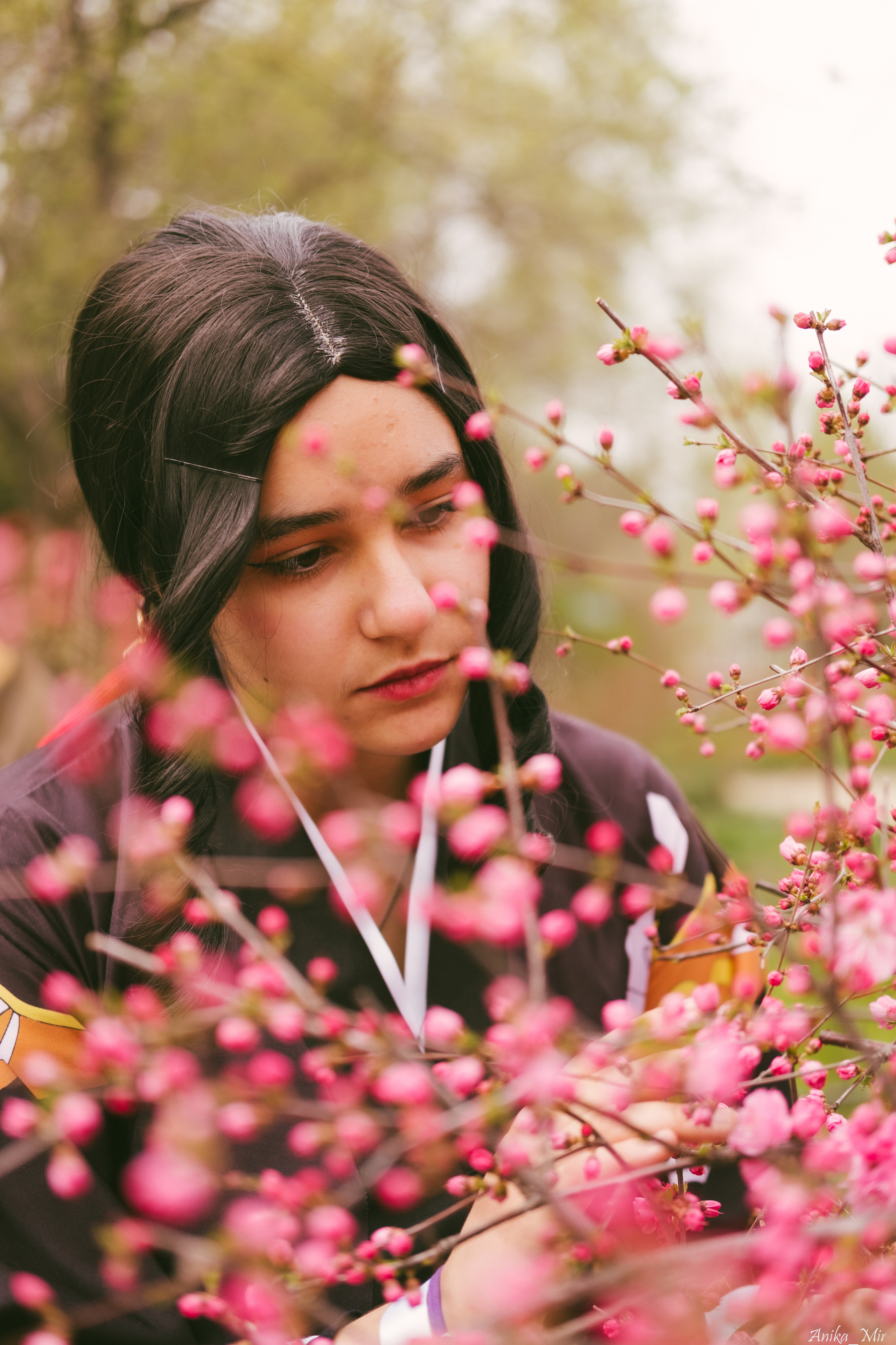 Праздник цветения сакуры. Фотограф в Иркутске Анна Мирошникова
