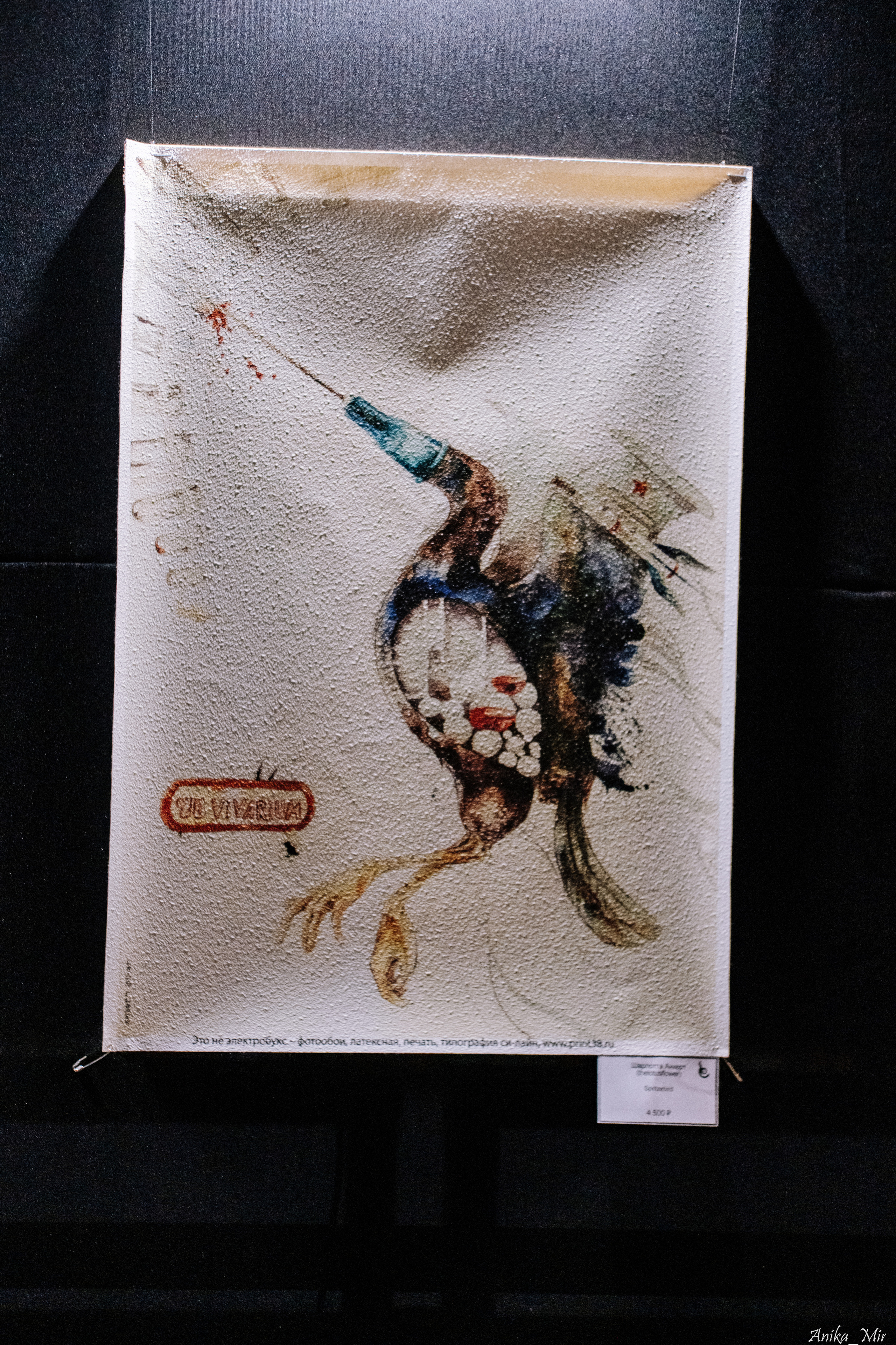 Выставка Sensivity. Фотограф в Иркутске Анна Мирошникова