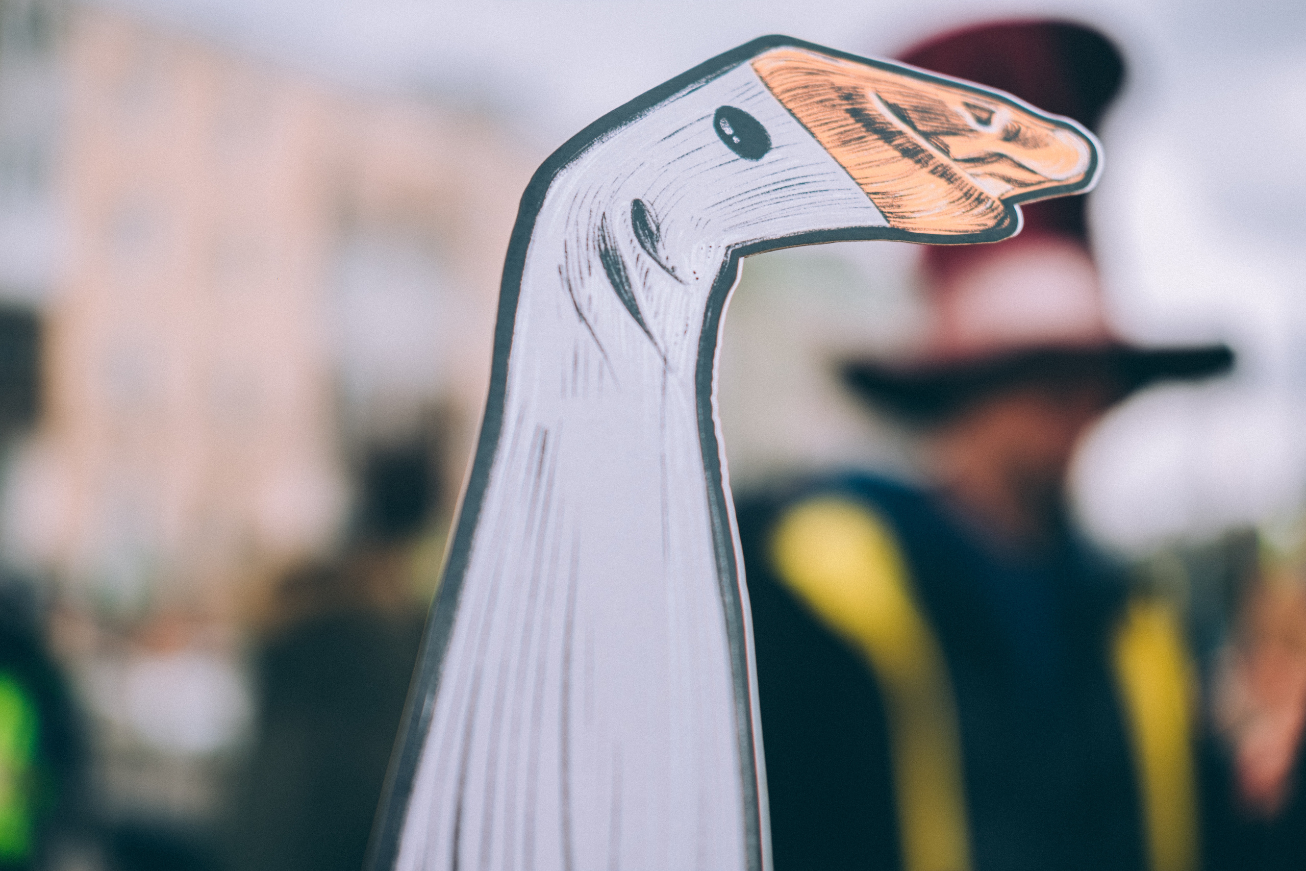 Отпусти Гуся. Фотограф в Иркутске Анна Мирошникова