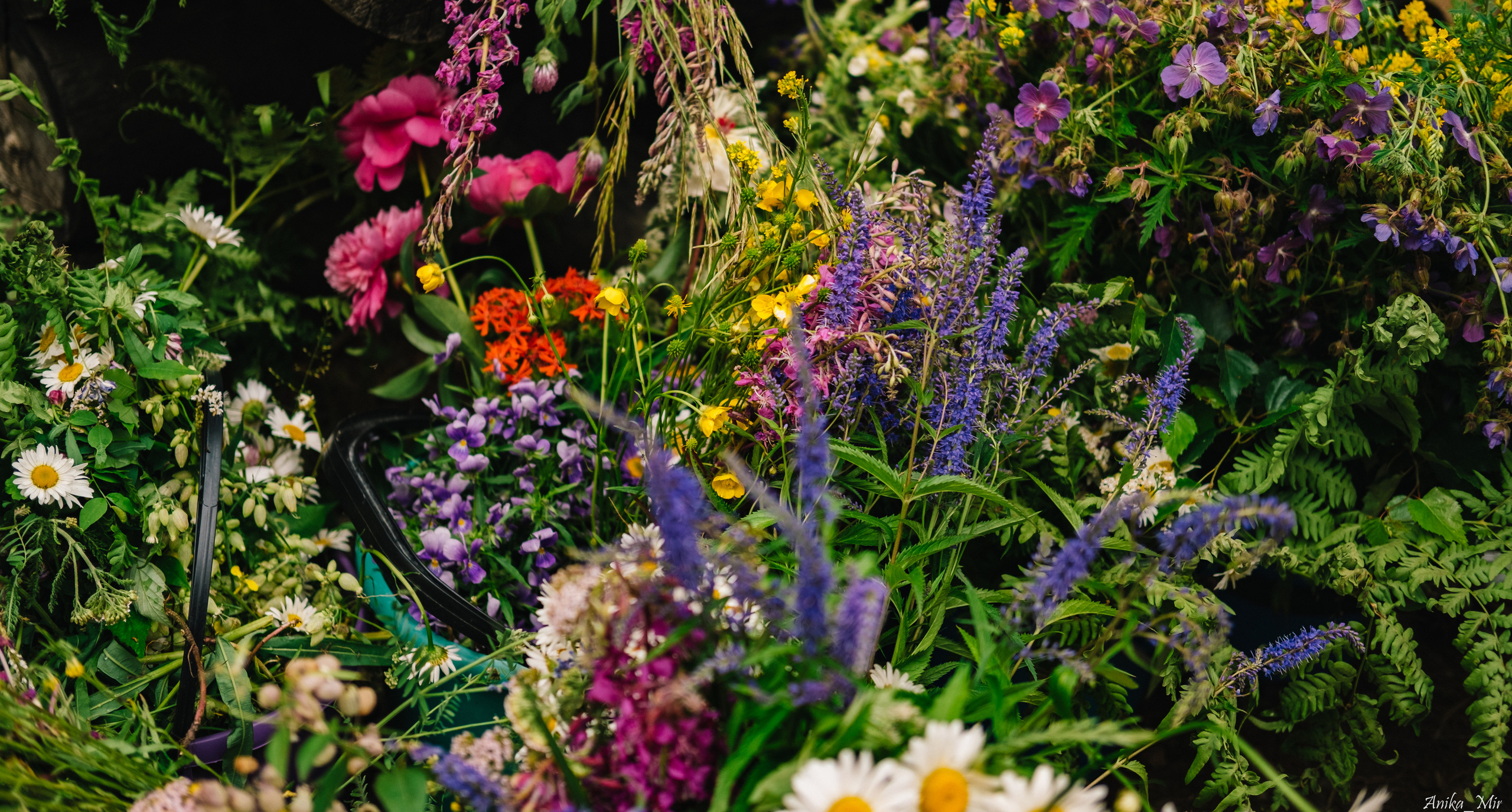 Купала 2023. Фотограф в Иркутске Анна Мирошникова