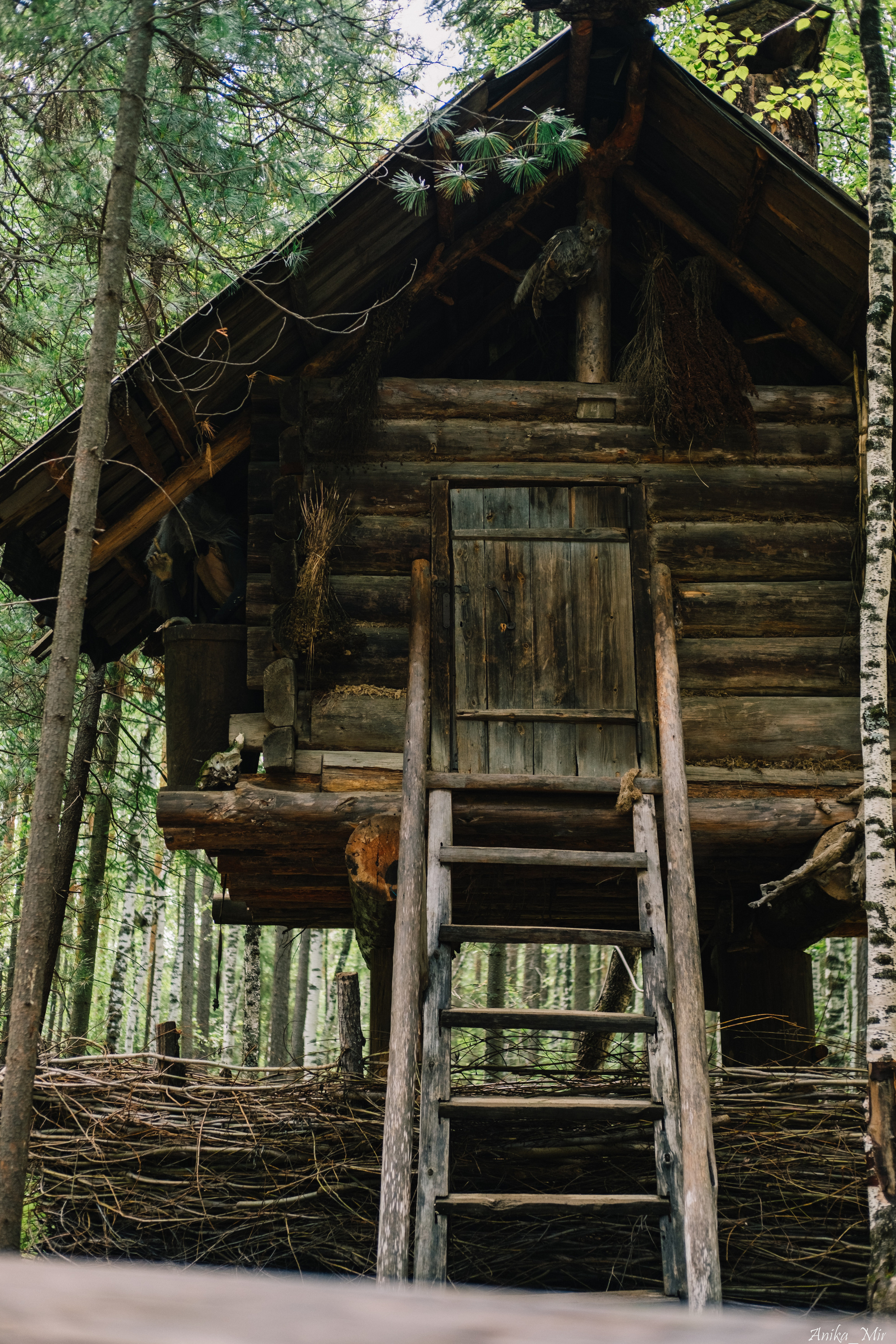 Купала 2023. Фотограф в Иркутске Анна Мирошникова