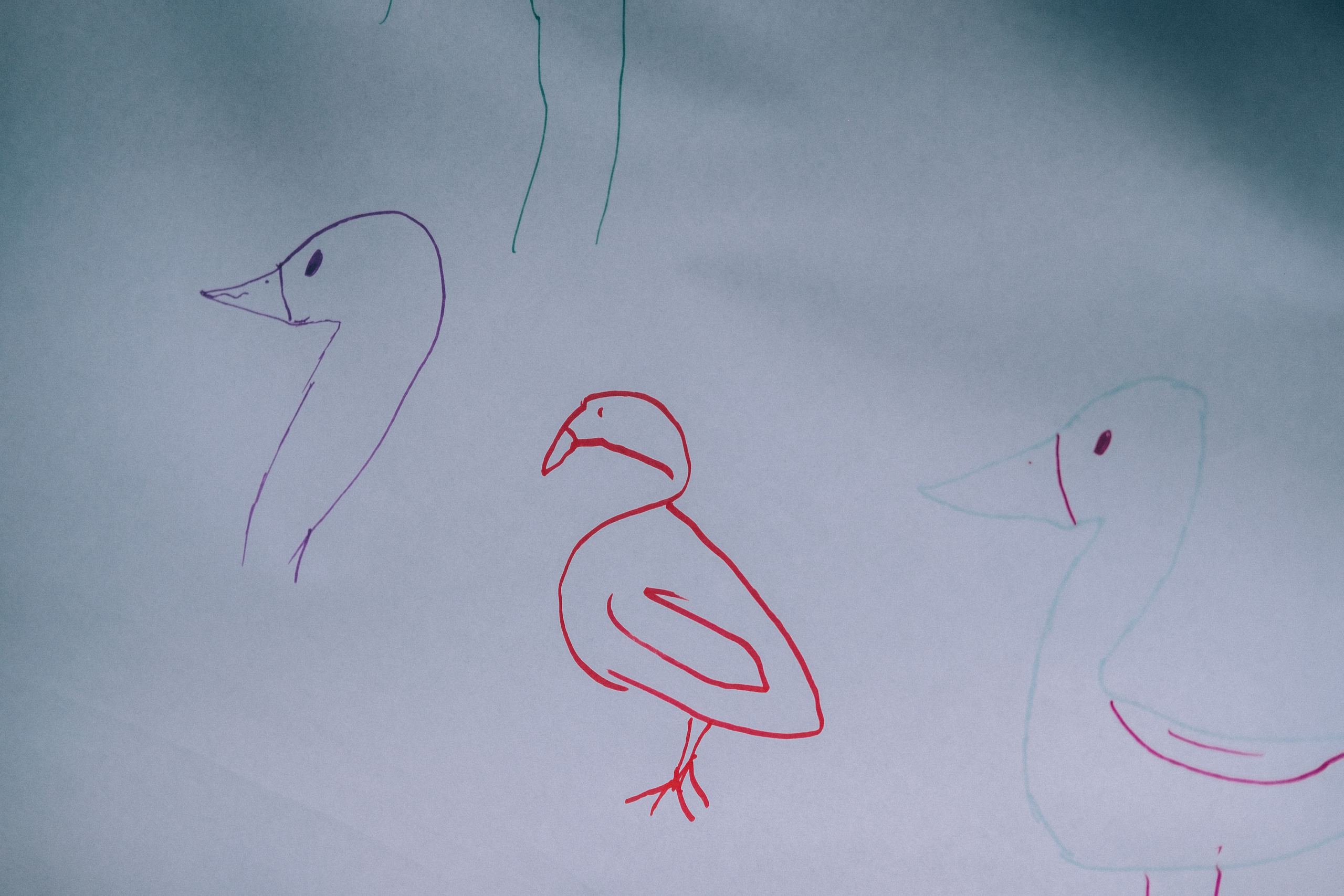 Отпусти Гуся. Фотограф в Иркутске Анна Мирошникова