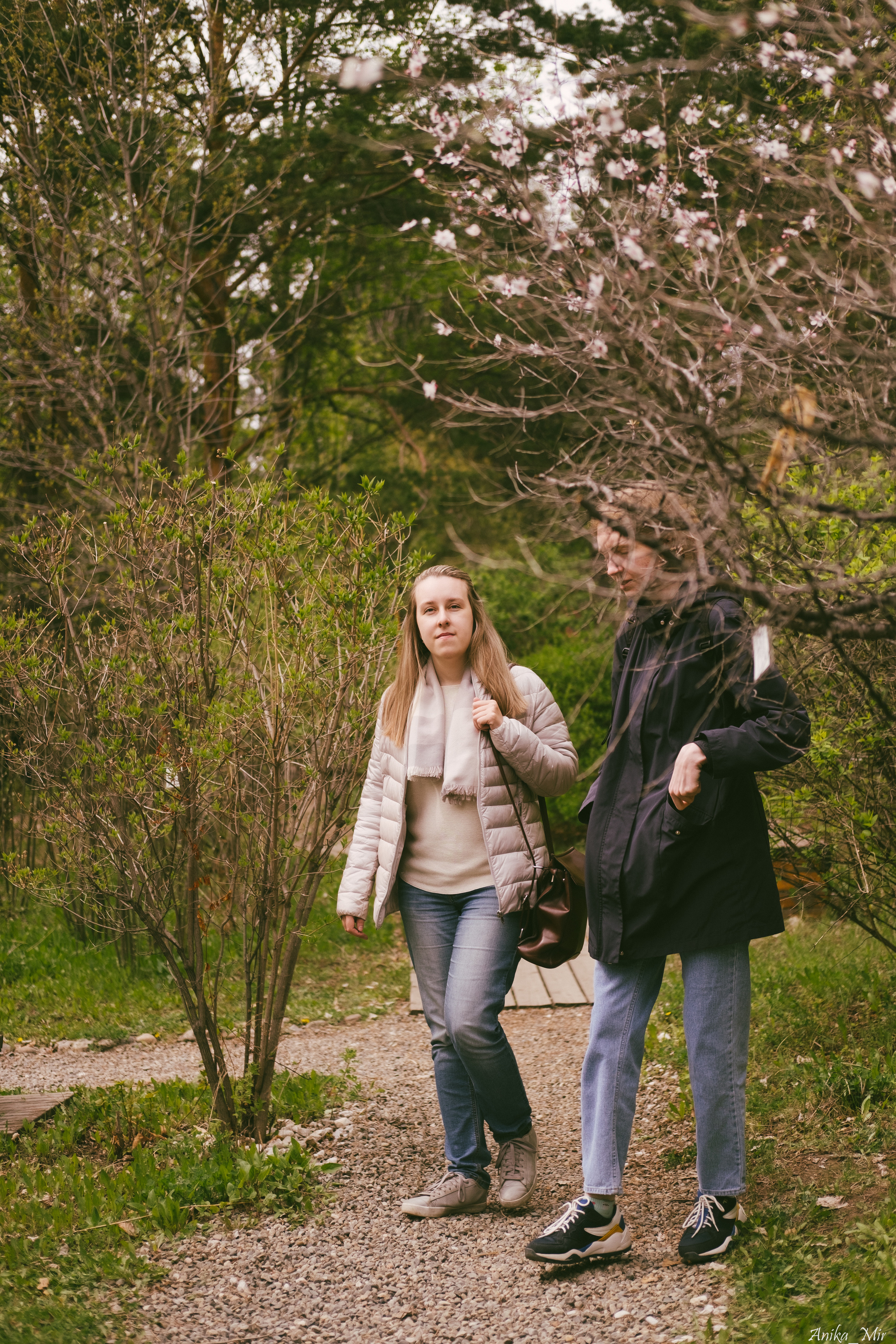 Праздник цветения сакуры. Фотограф в Иркутске Анна Мирошникова