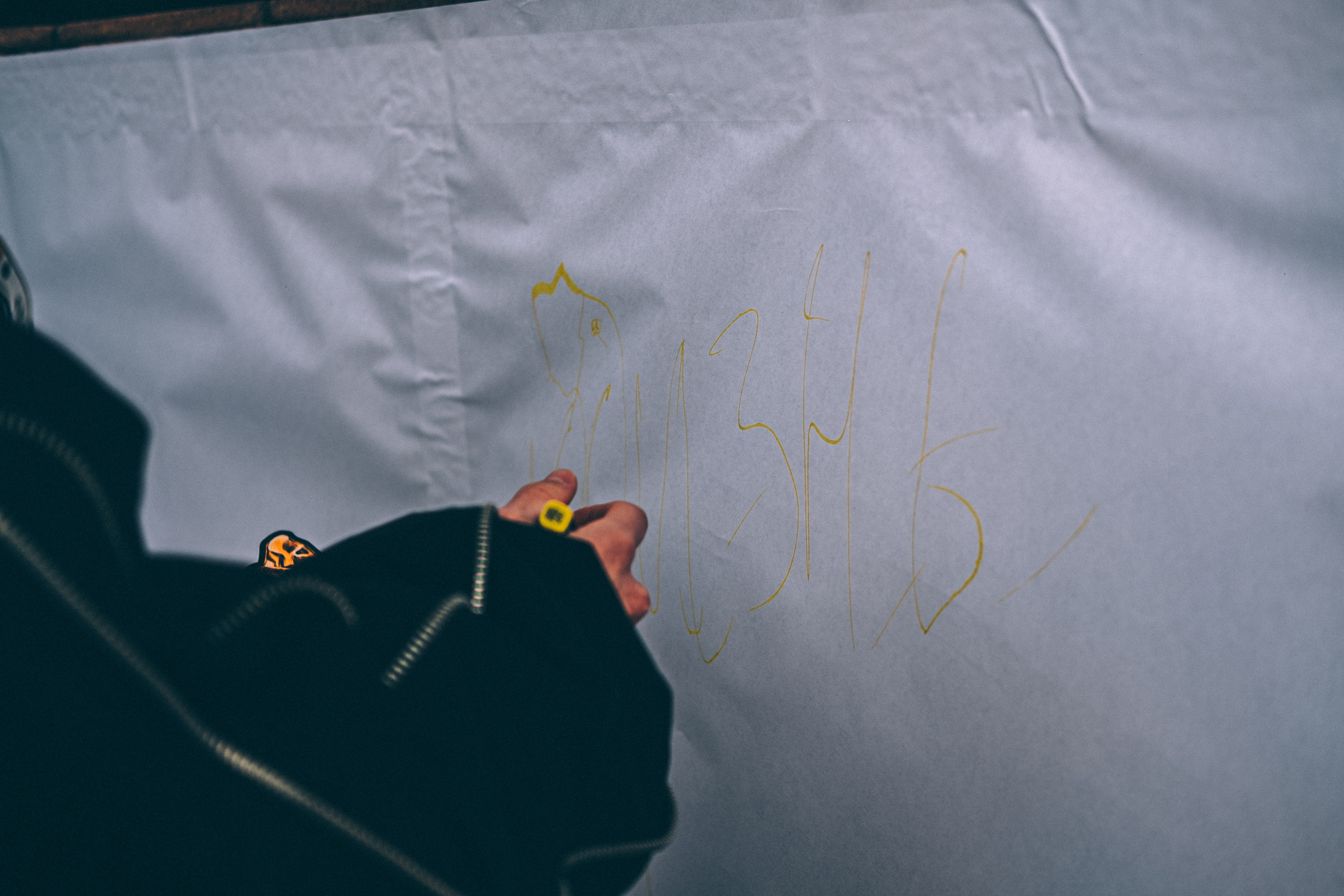 Отпусти Гуся. Фотограф в Иркутске Анна Мирошникова