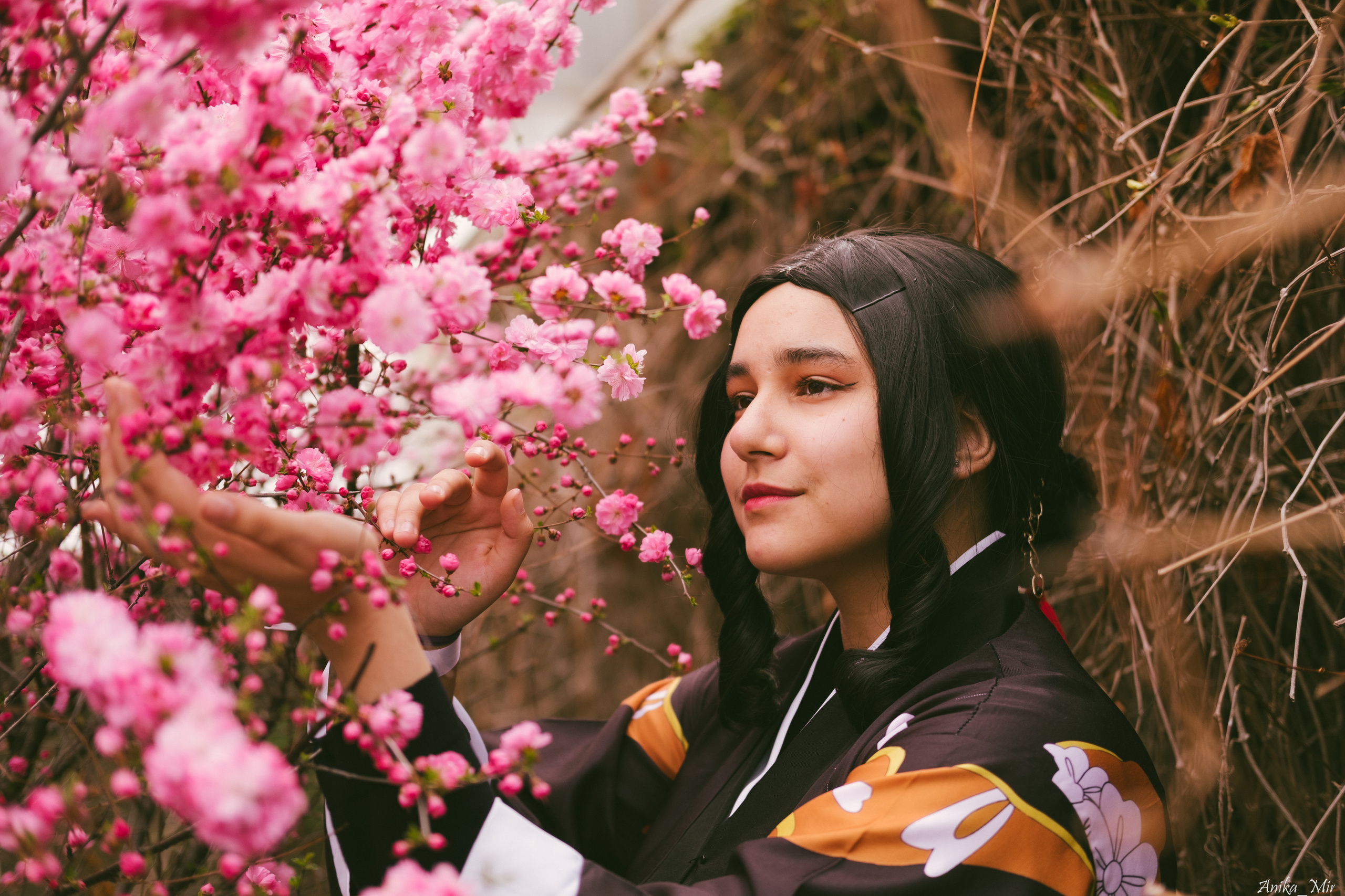 Праздник цветения сакуры. Фотограф в Иркутске Анна Мирошникова