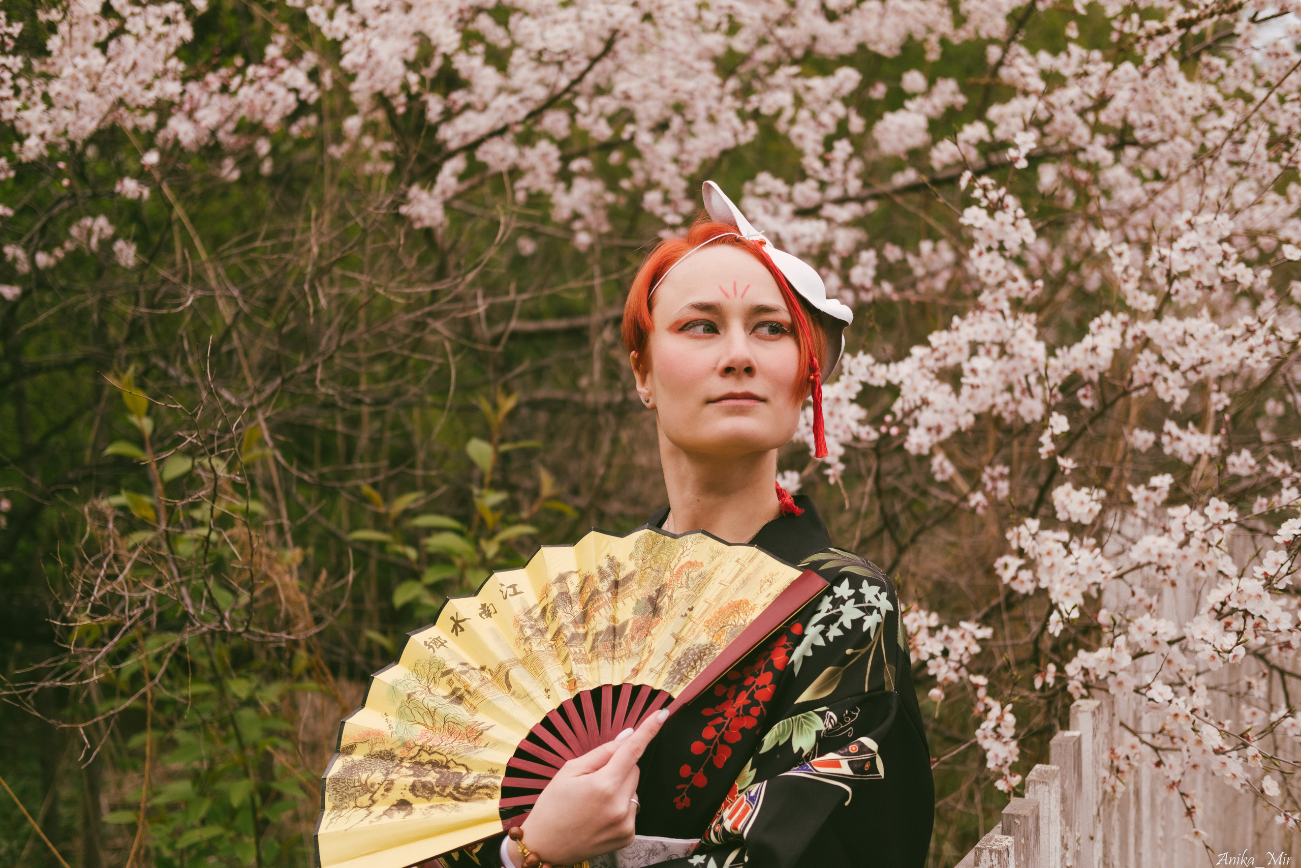 Праздник цветения сакуры. Фотограф в Иркутске Анна Мирошникова