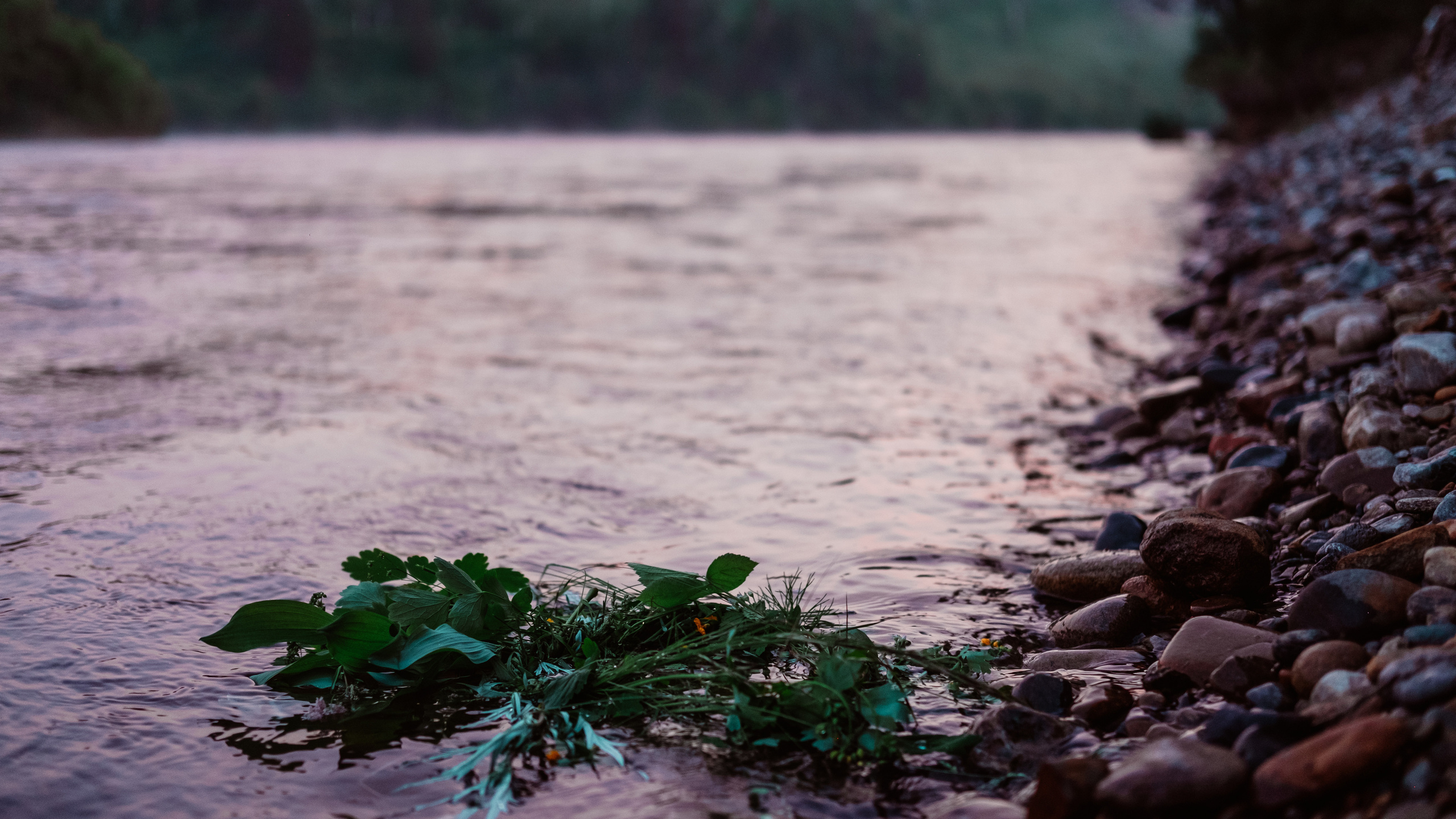 Праздник Купалье. Фотограф в Иркутске Анна Мирошникова