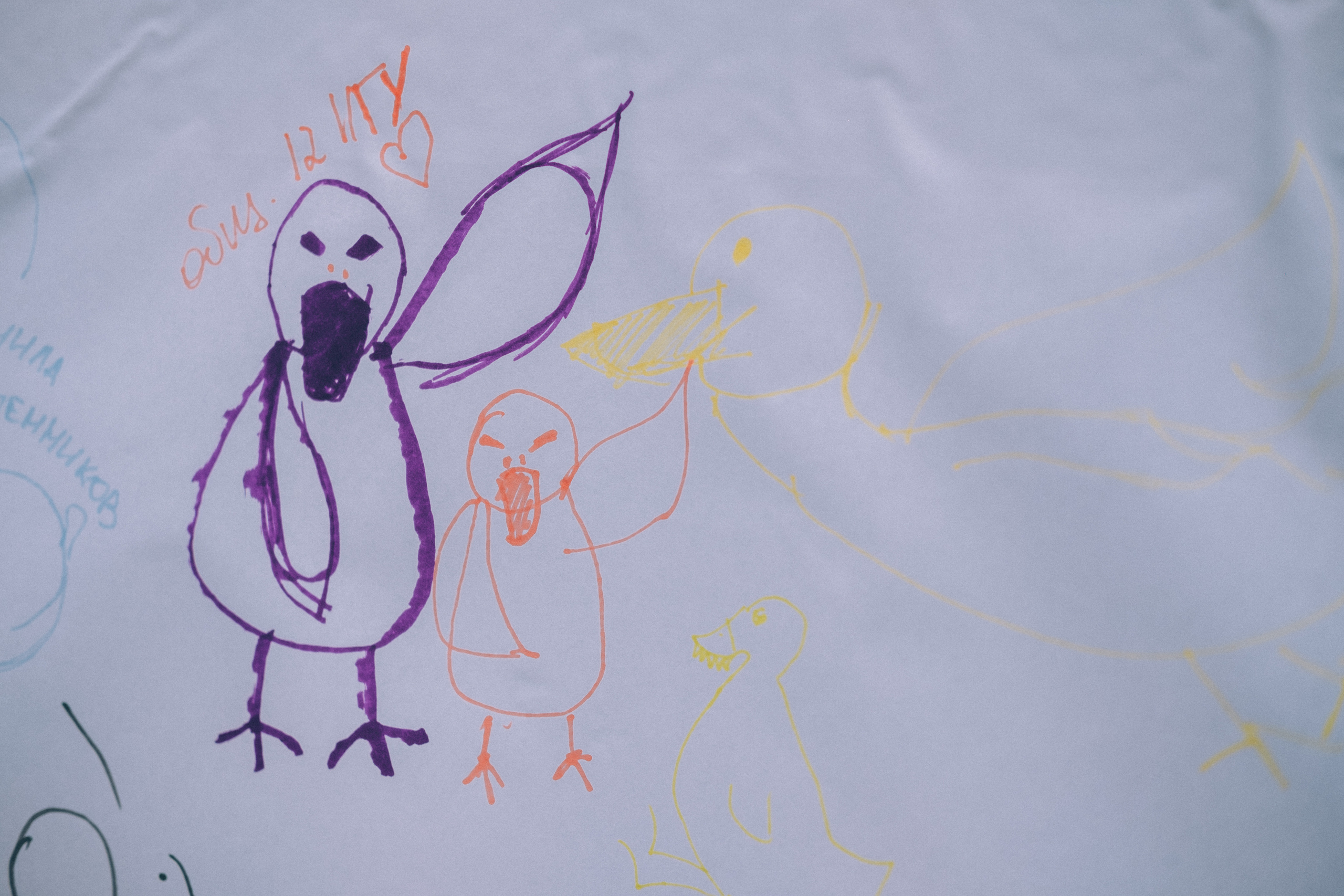 Отпусти Гуся. Фотограф в Иркутске Анна Мирошникова