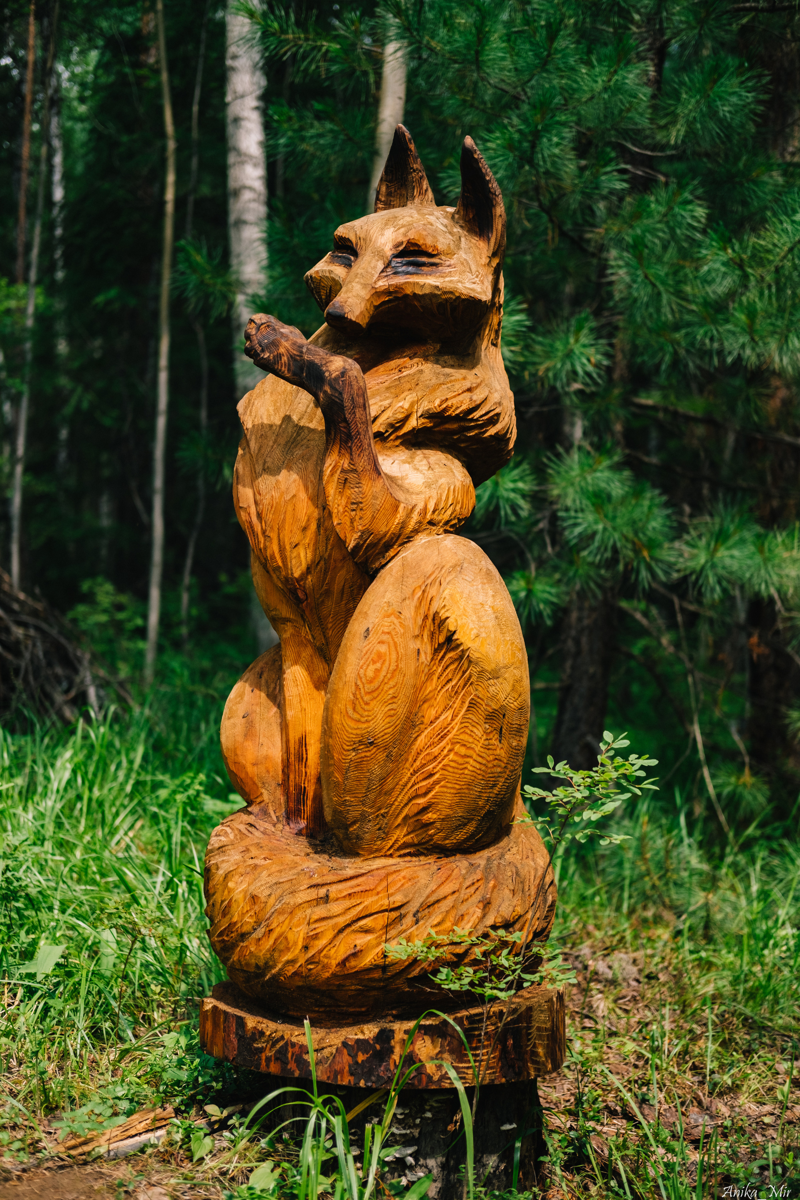 Купала 2023. Фотограф в Иркутске Анна Мирошникова