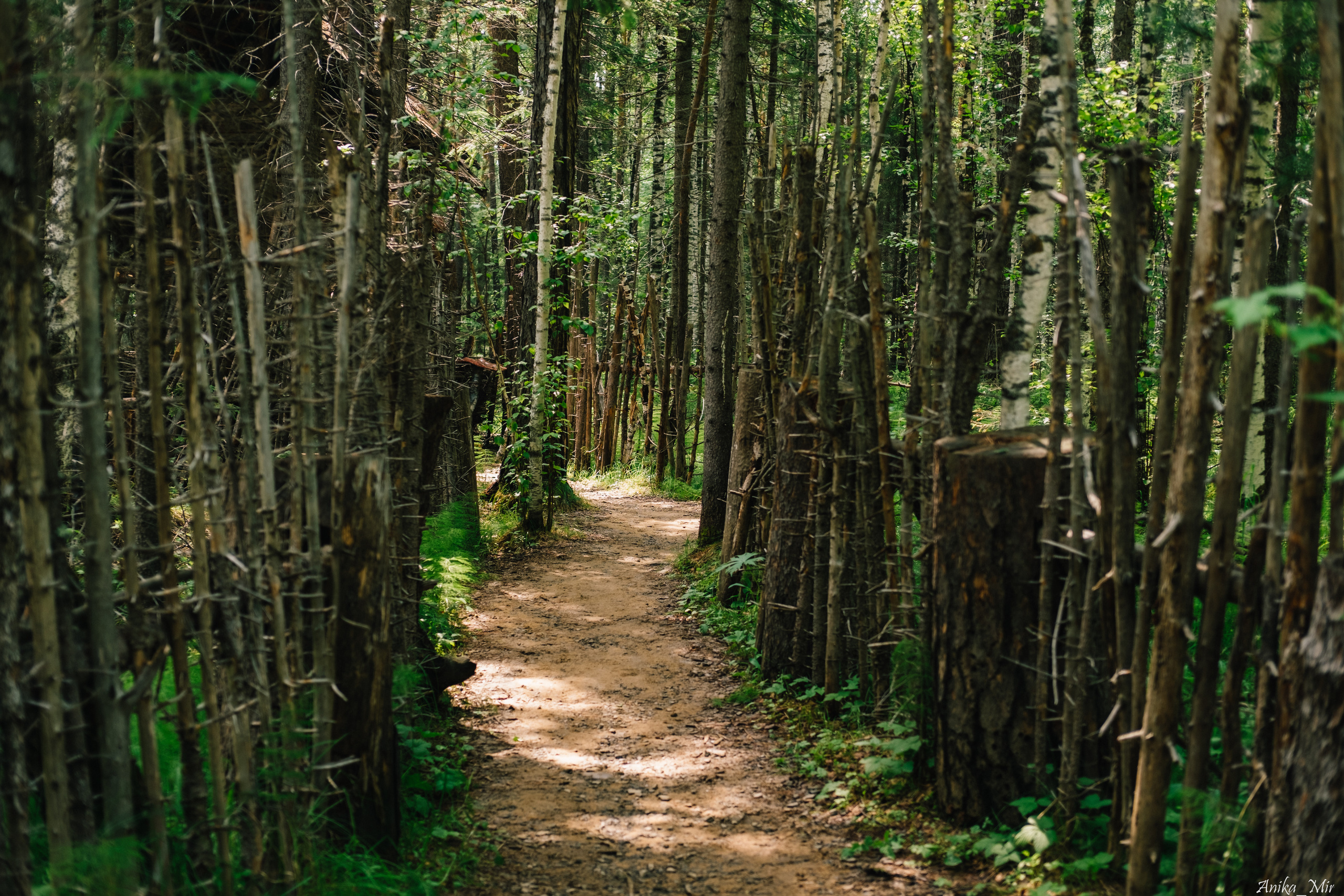 Купала 2023. Фотограф в Иркутске Анна Мирошникова