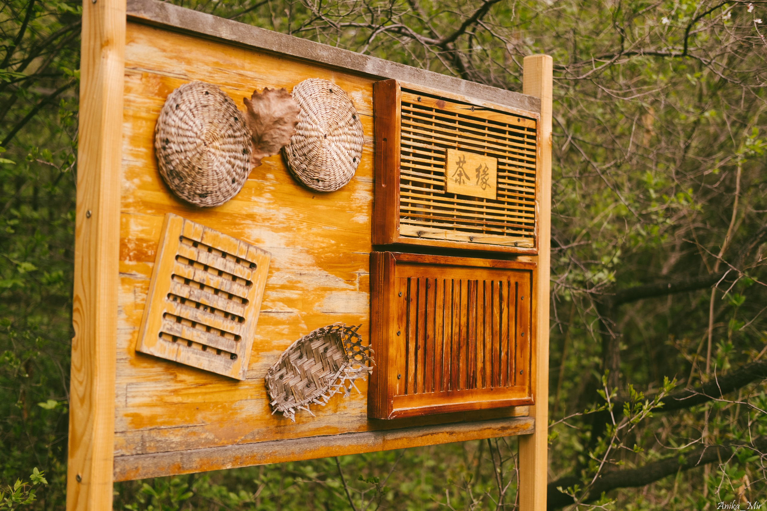 Праздник цветения сакуры. Фотограф в Иркутске Анна Мирошникова