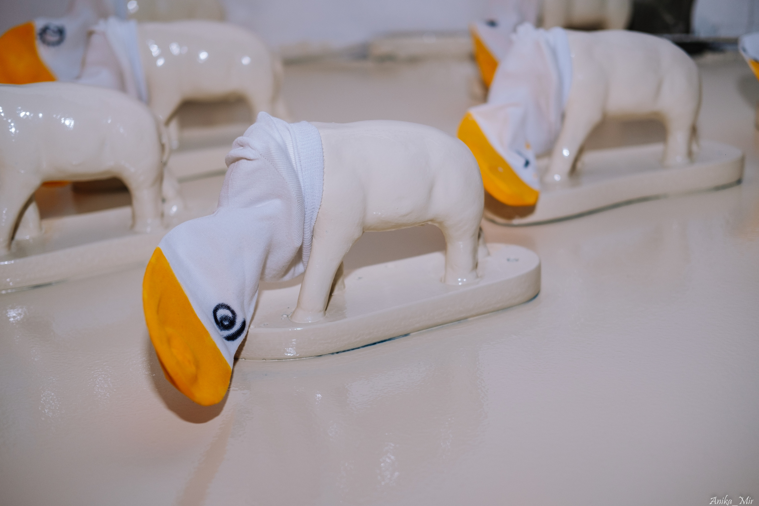 Выставка Sensivity. Фотограф в Иркутске Анна Мирошникова