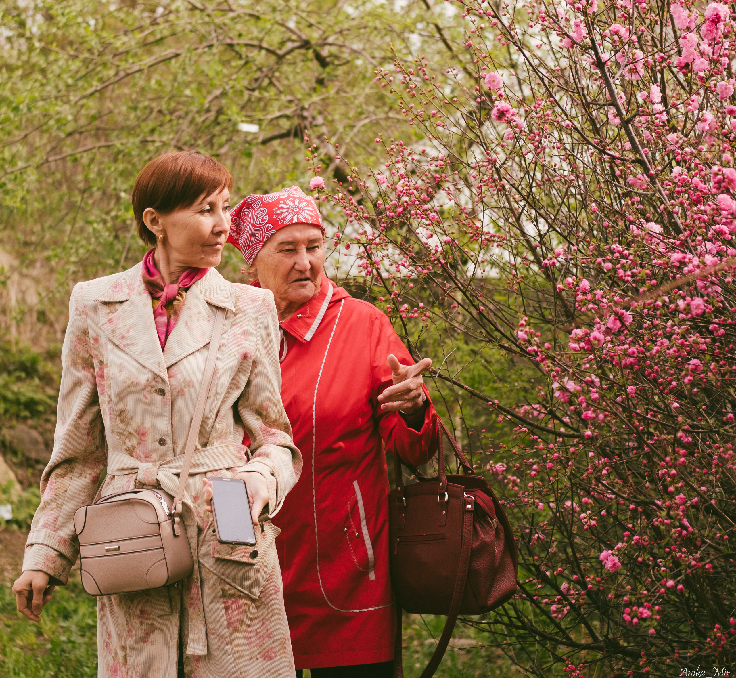 Праздник цветения сакуры. Фотограф в Иркутске Анна Мирошникова