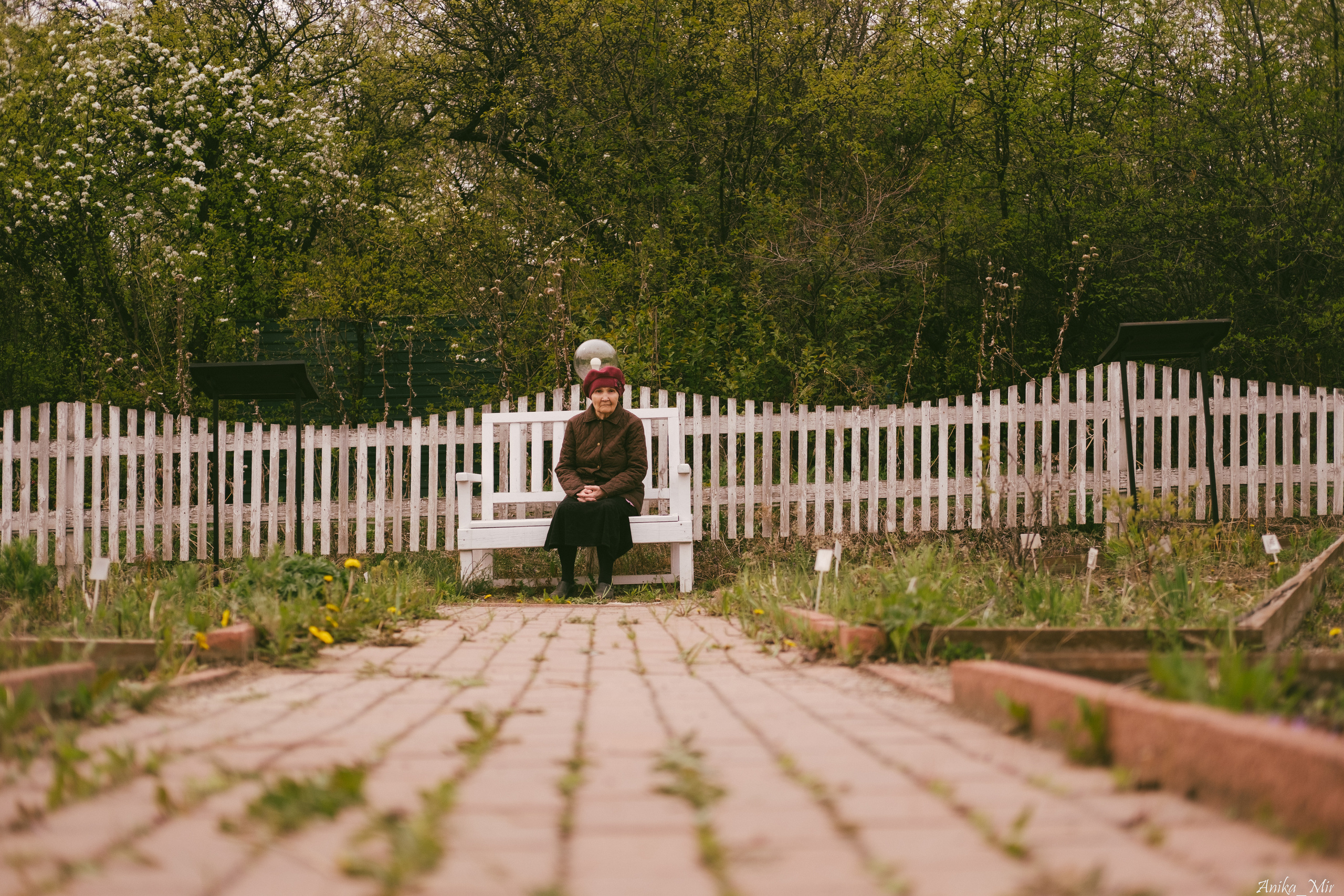 Праздник цветения сакуры. Фотограф в Иркутске Анна Мирошникова