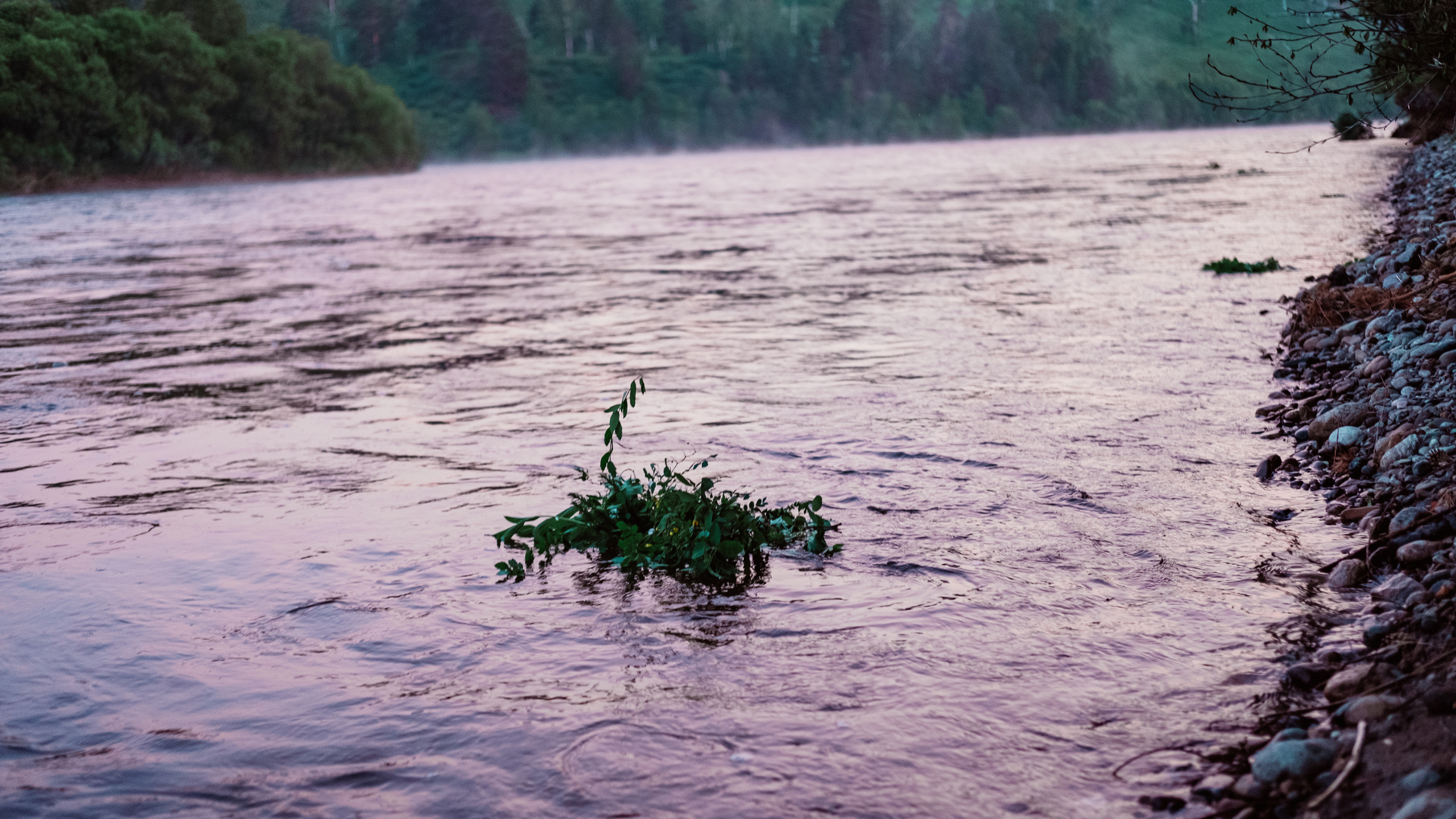 Праздник Купалье. Фотограф в Иркутске Анна Мирошникова