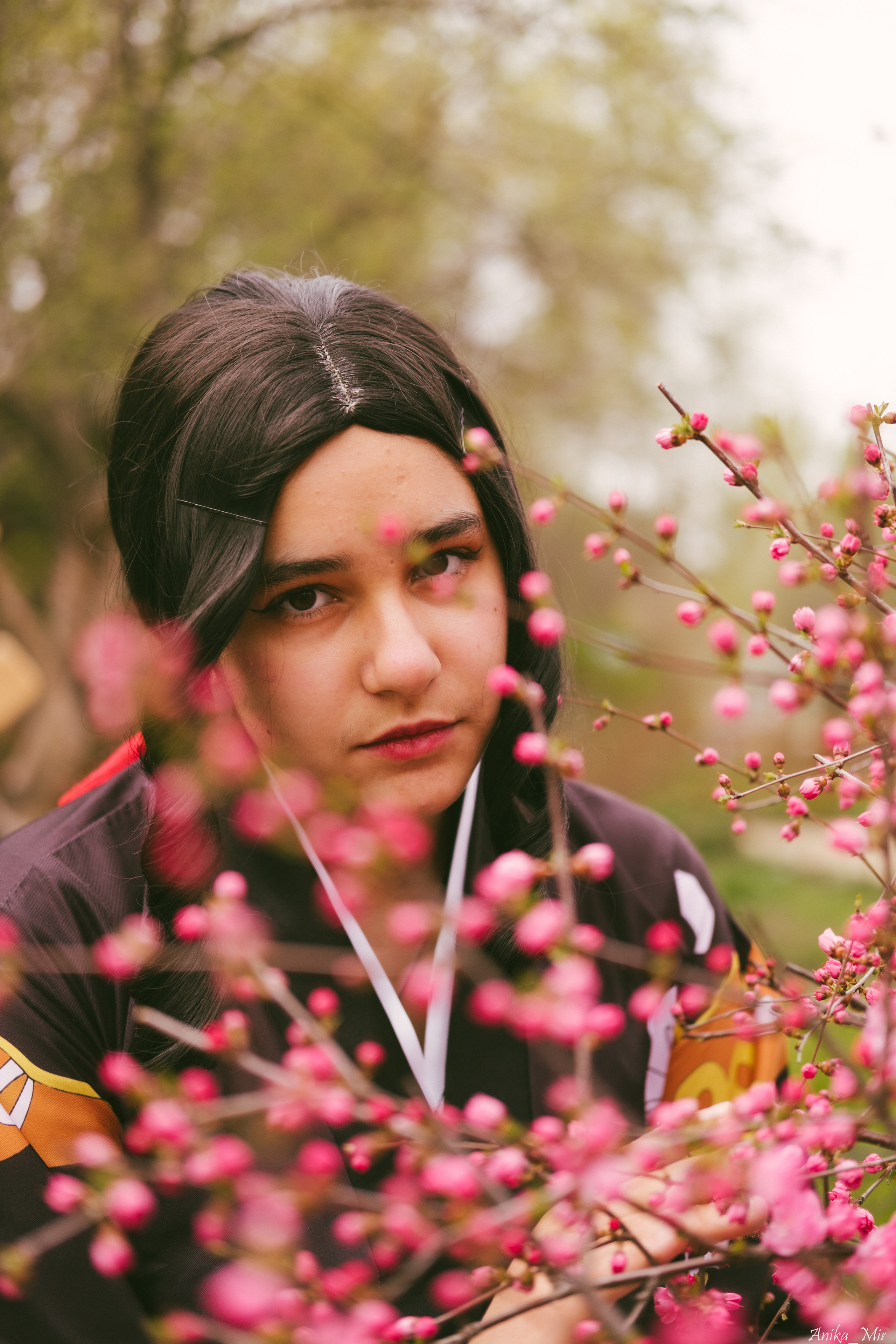 Праздник цветения сакуры. Фотограф в Иркутске Анна Мирошникова