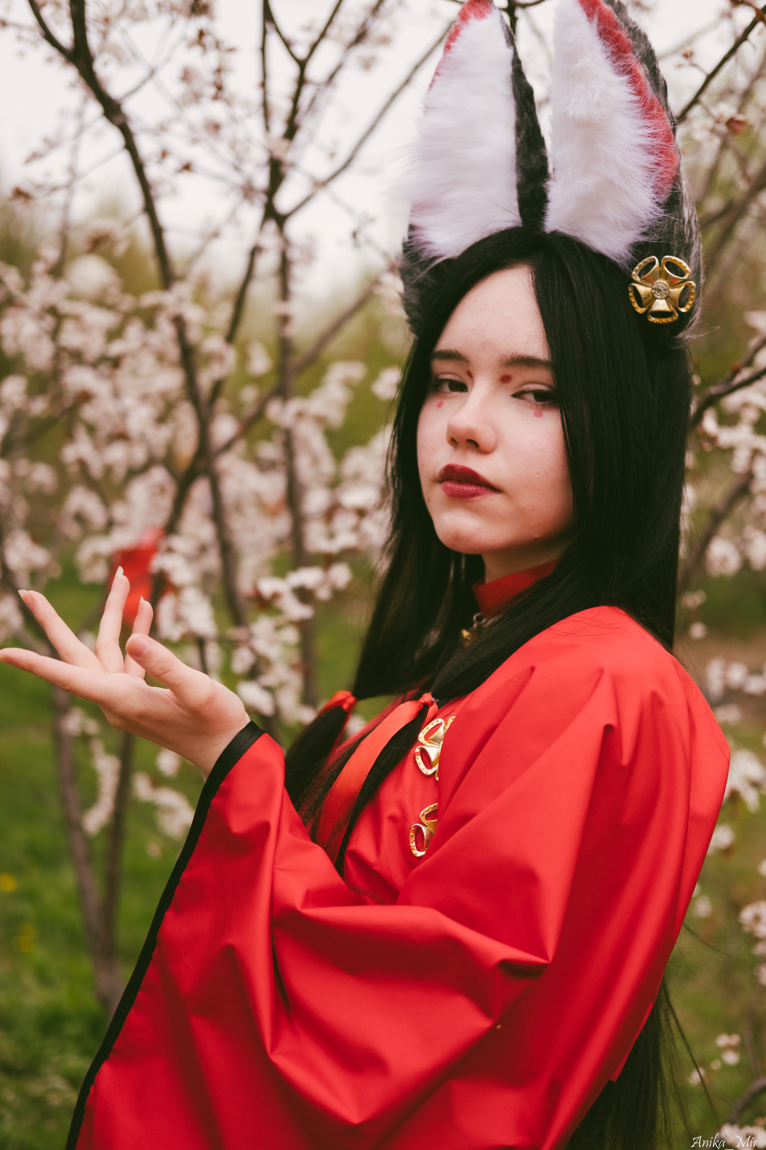 Праздник цветения сакуры. Фотограф в Иркутске Анна Мирошникова