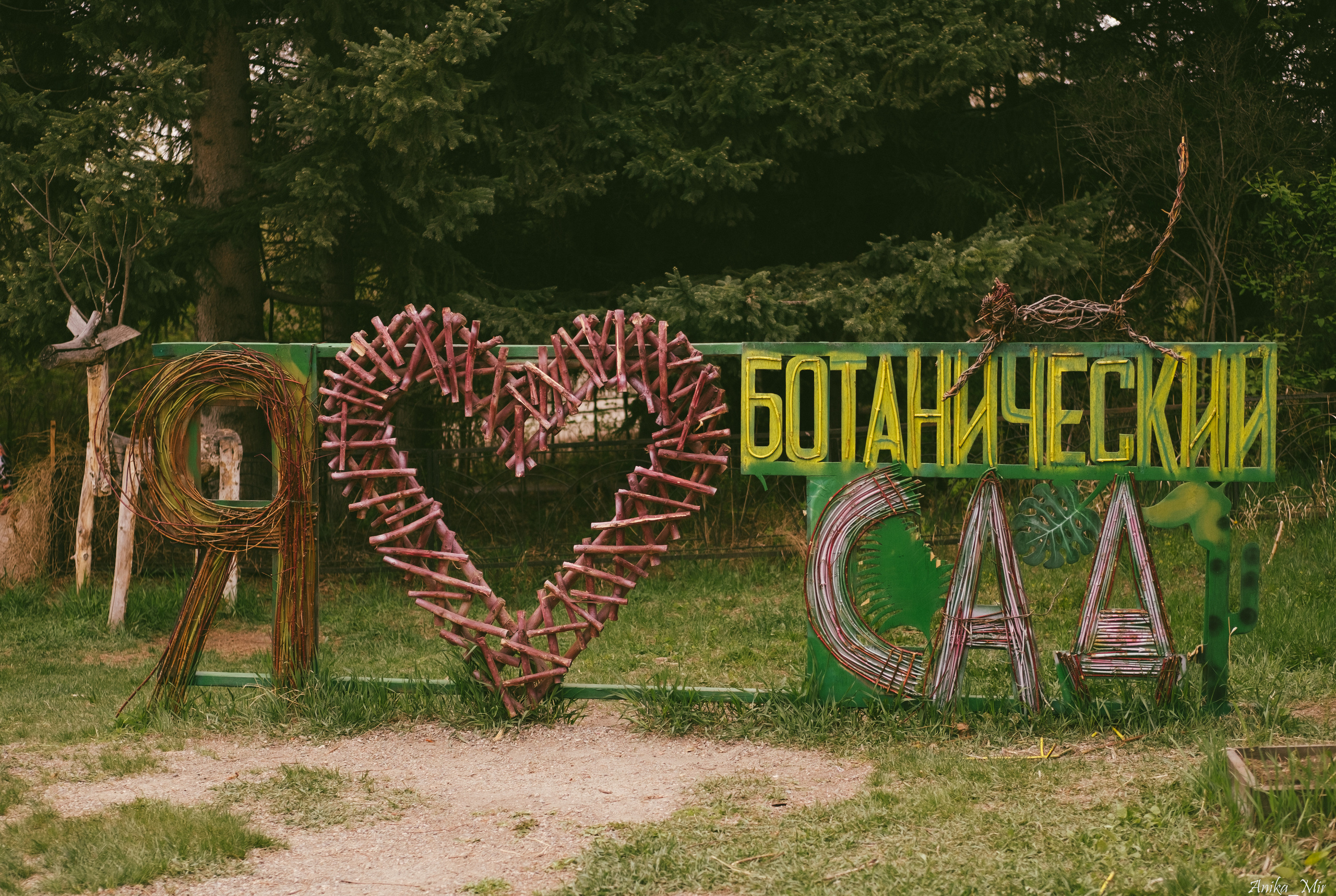 Праздник цветения сакуры. Фотограф в Иркутске Анна Мирошникова