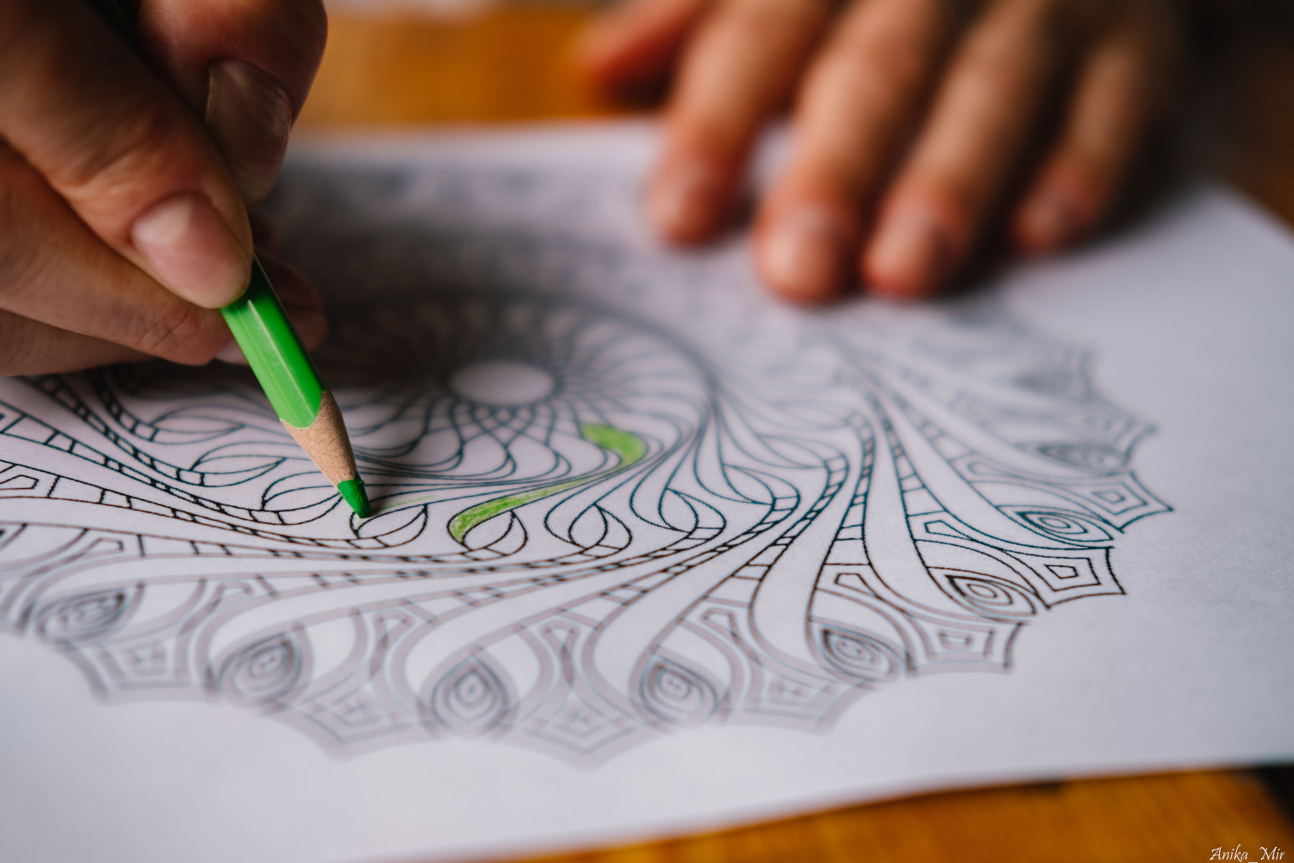 Купала 2023. Фотограф в Иркутске Анна Мирошникова