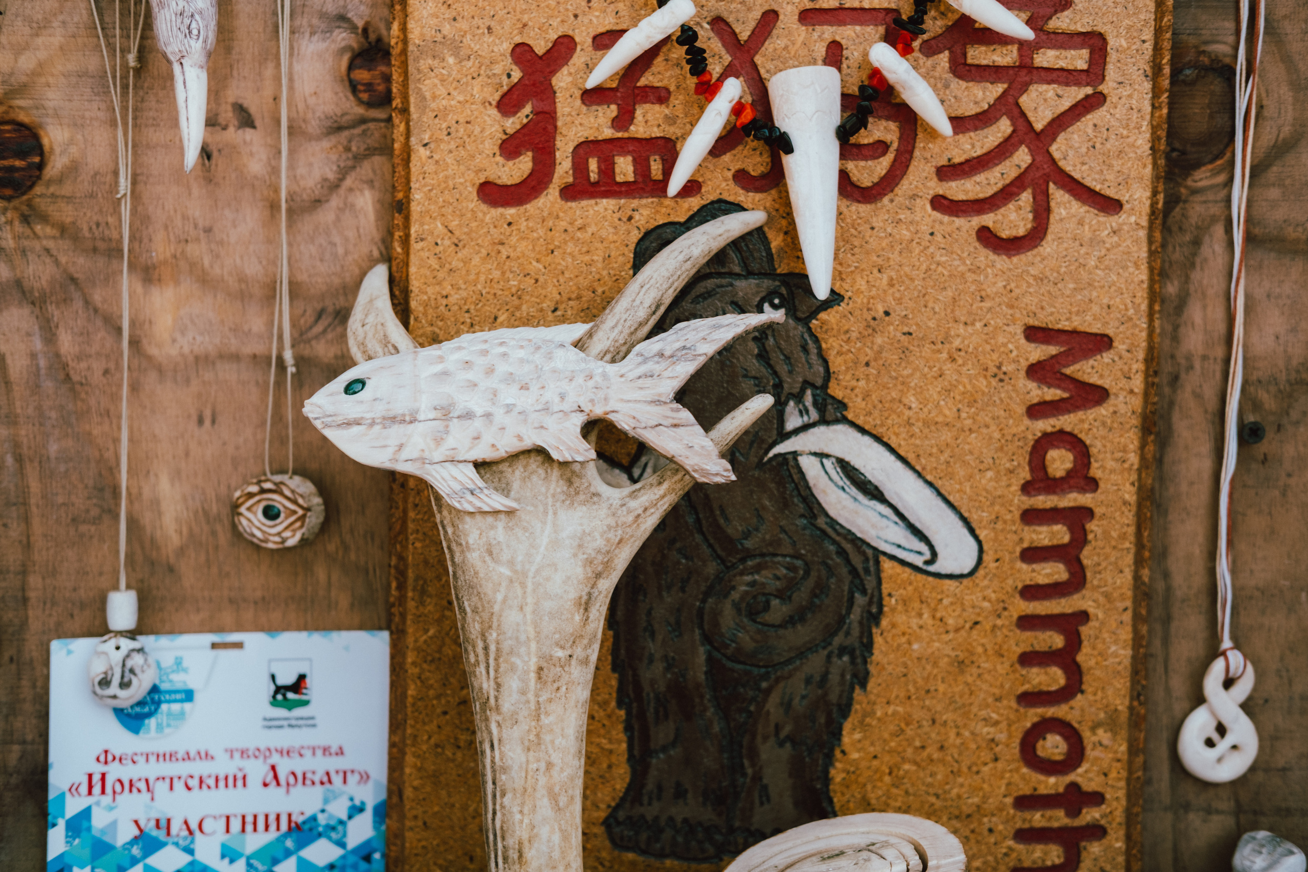 Фестиваль Алтынка. Фотограф в Иркутске Анна Мирошникова