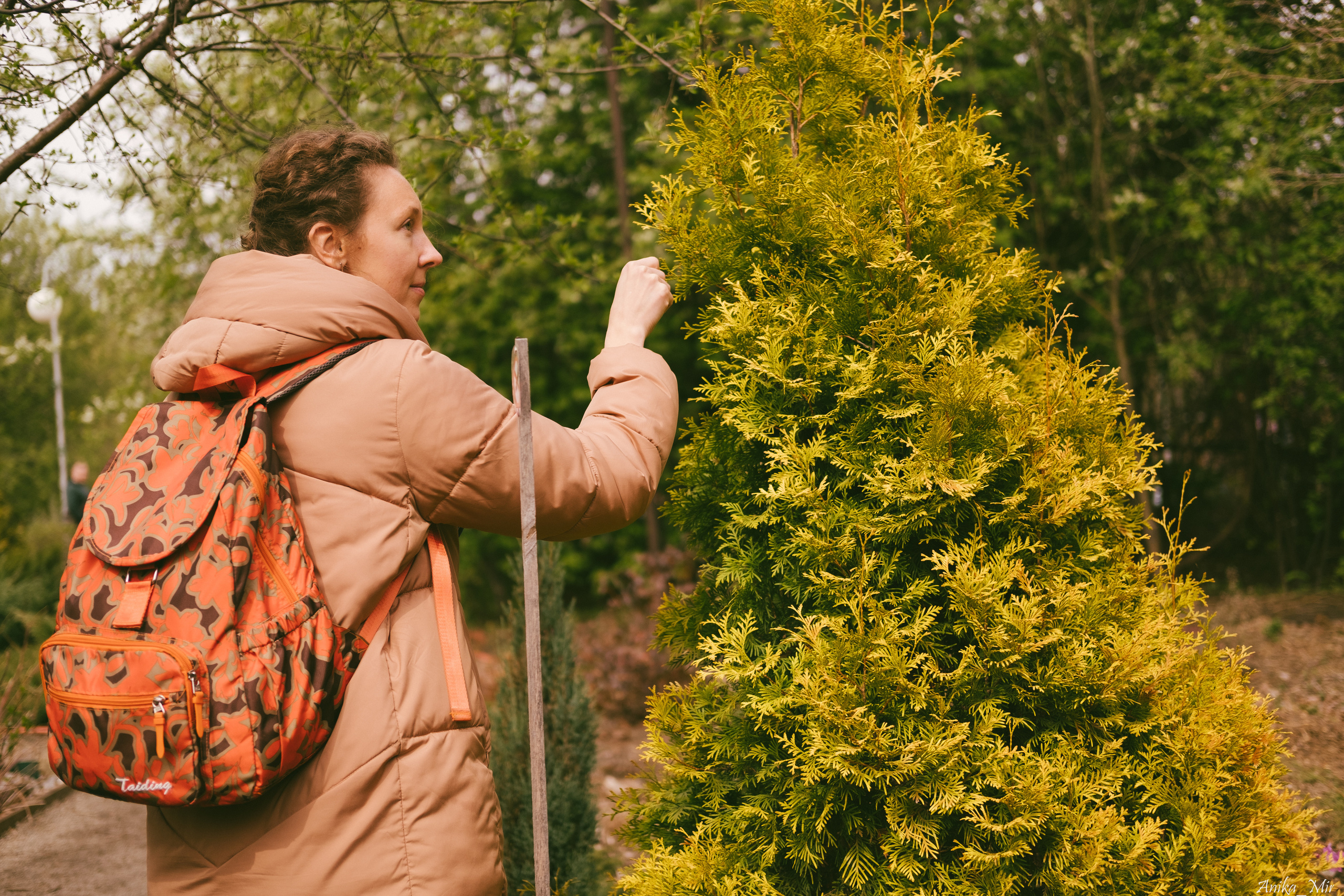 Праздник цветения сакуры. Фотограф в Иркутске Анна Мирошникова