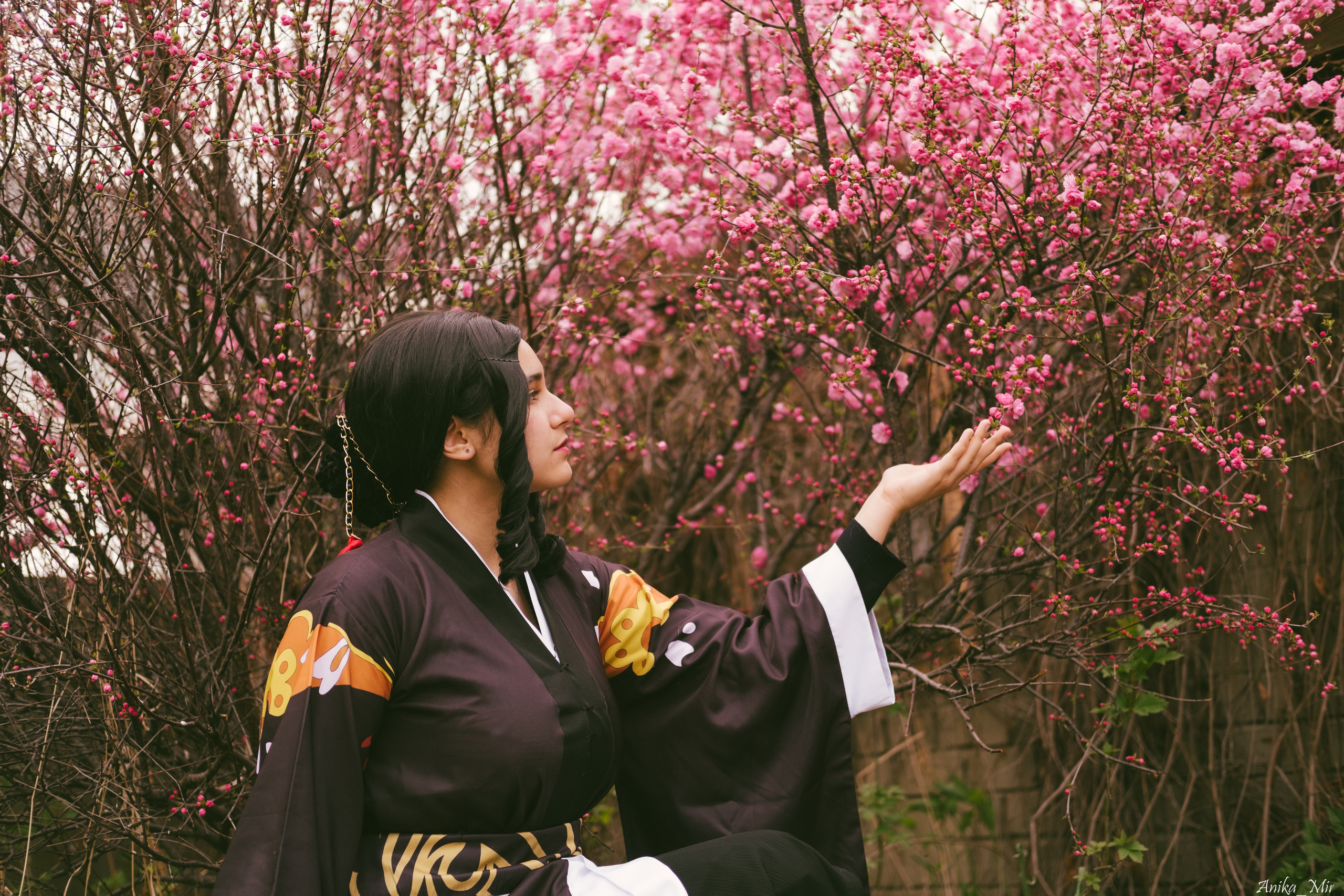 Праздник цветения сакуры. Фотограф в Иркутске Анна Мирошникова