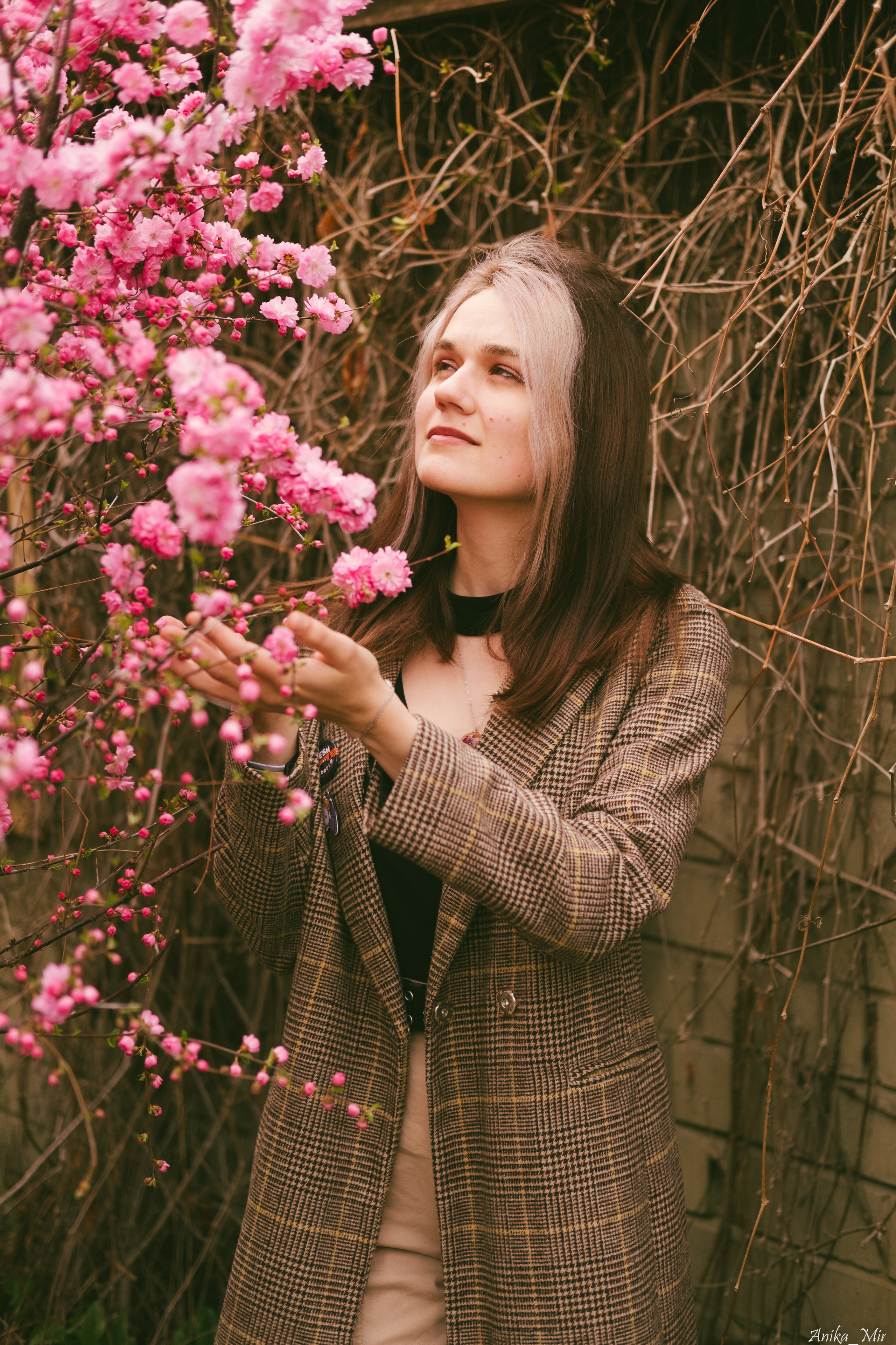 Праздник цветения сакуры. Фотограф в Иркутске Анна Мирошникова